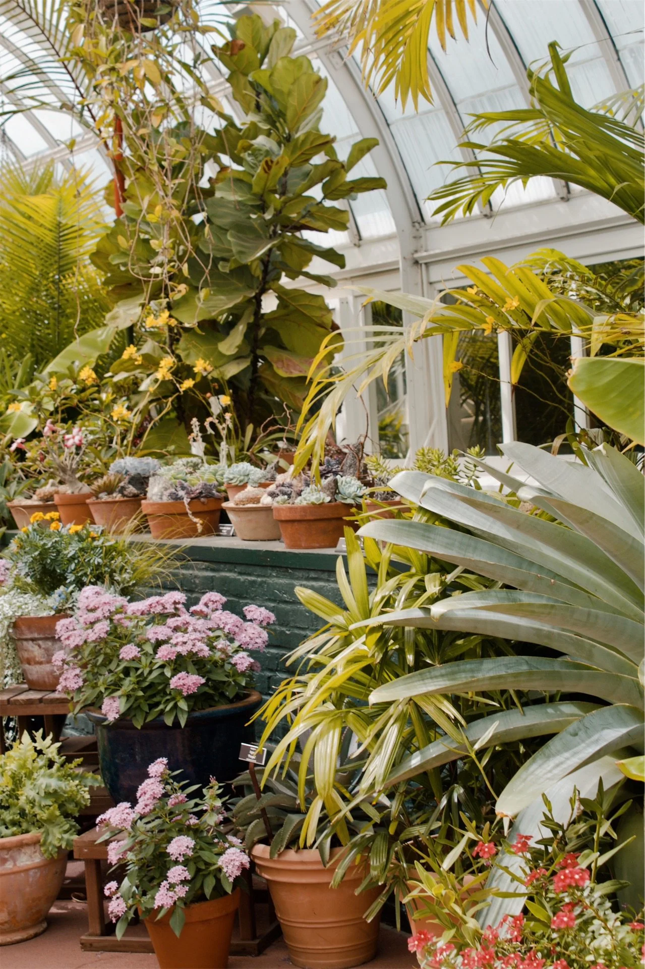 New York Botanical Garden NYC, 2025