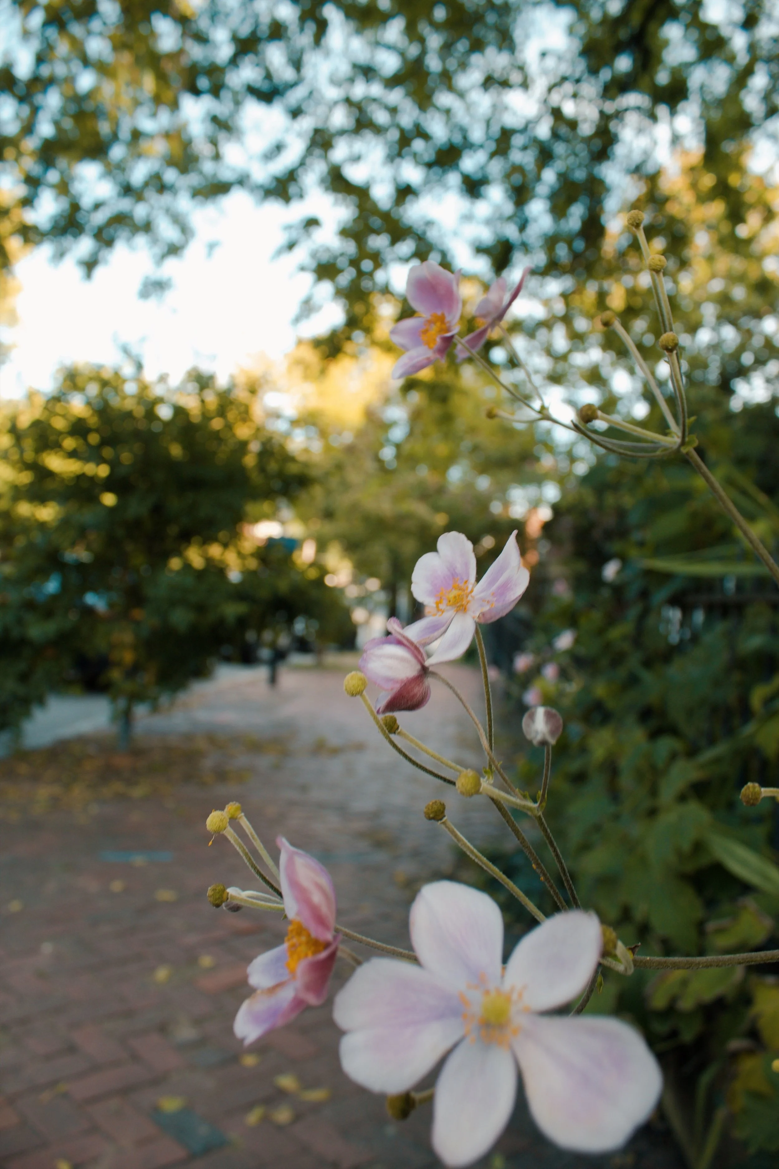 Church Hill Richmond VA, 2024
