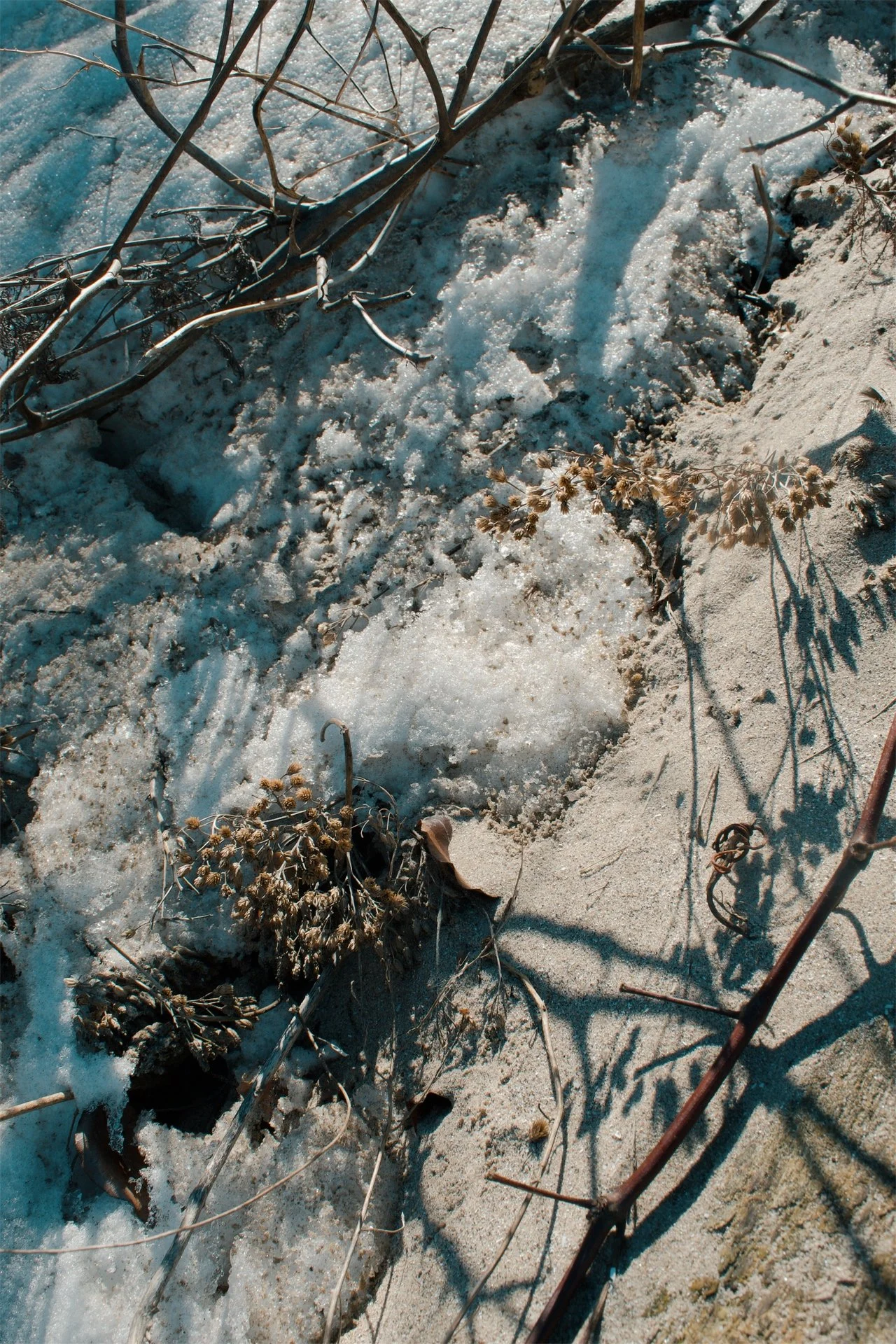 Lake Erie Vermilion OH, 2026