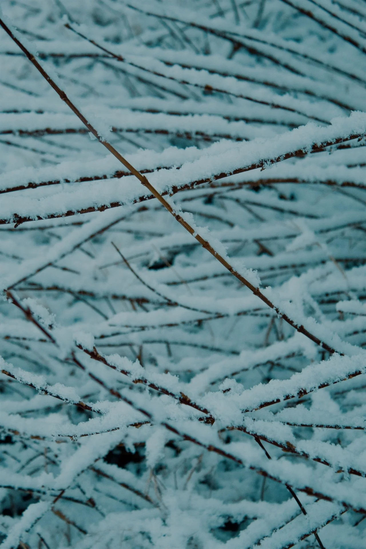 Church Hill Richmond VA, 2026