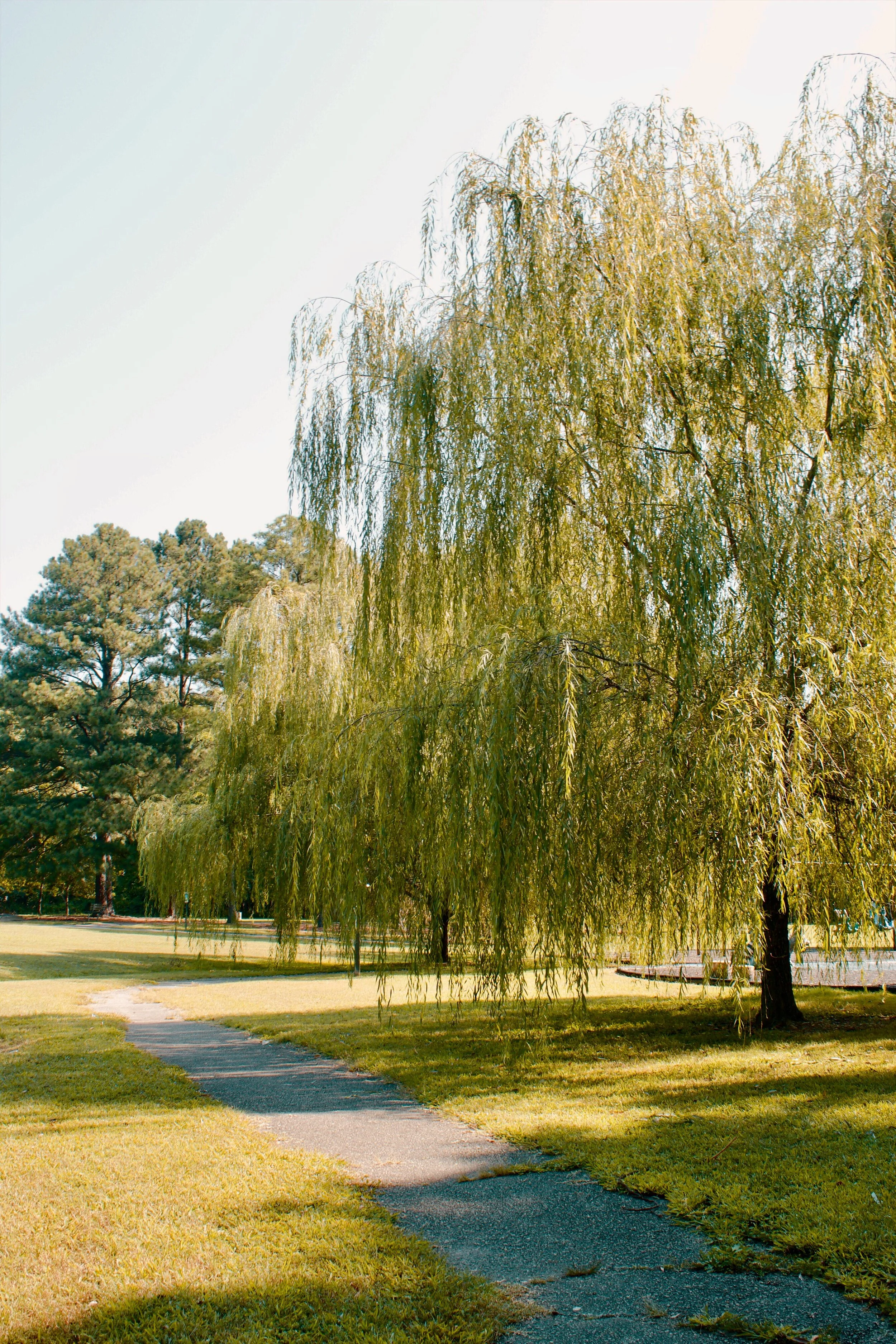 Three Lakes Park VA, 2024