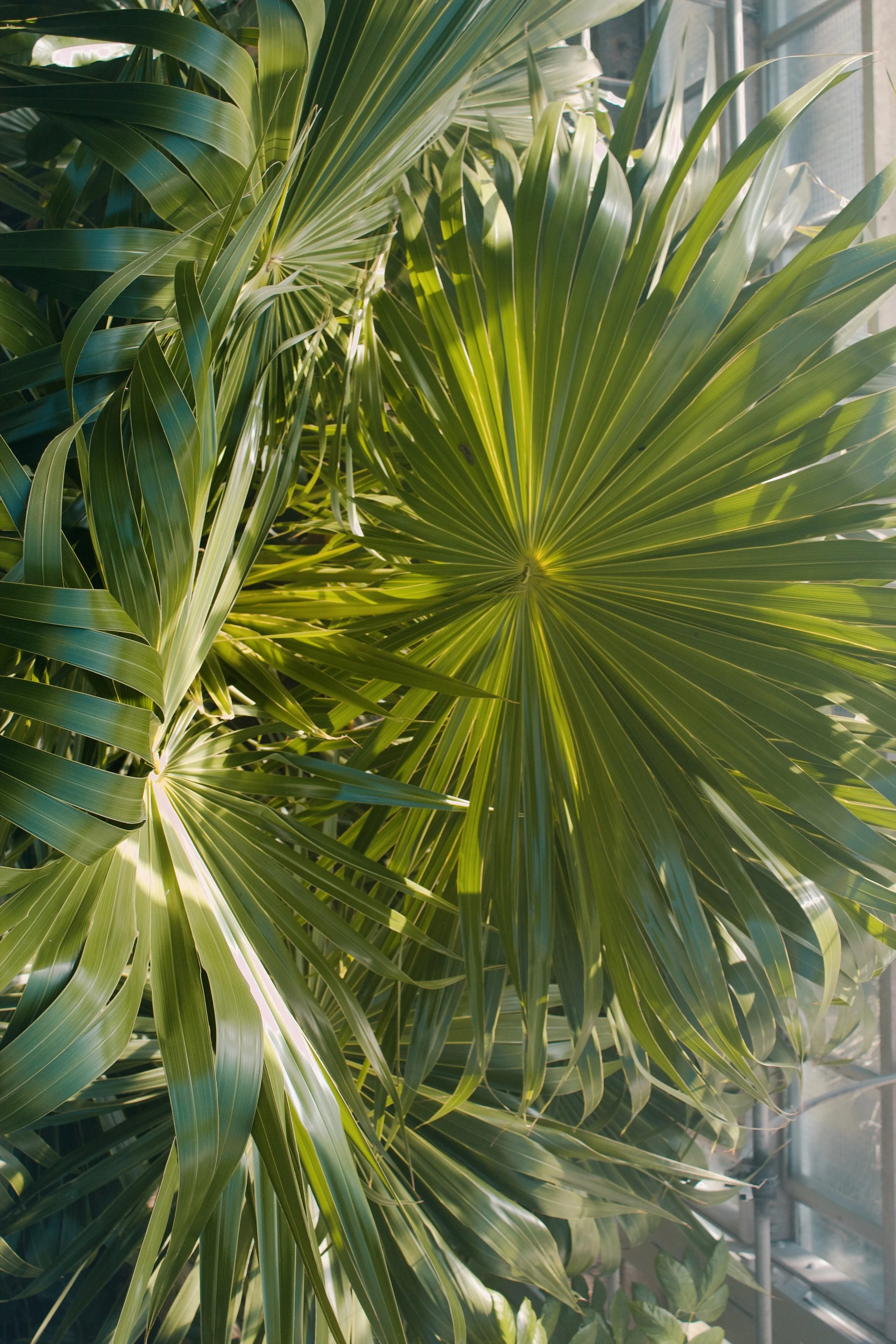 United States Botanic Garden MD, 2024