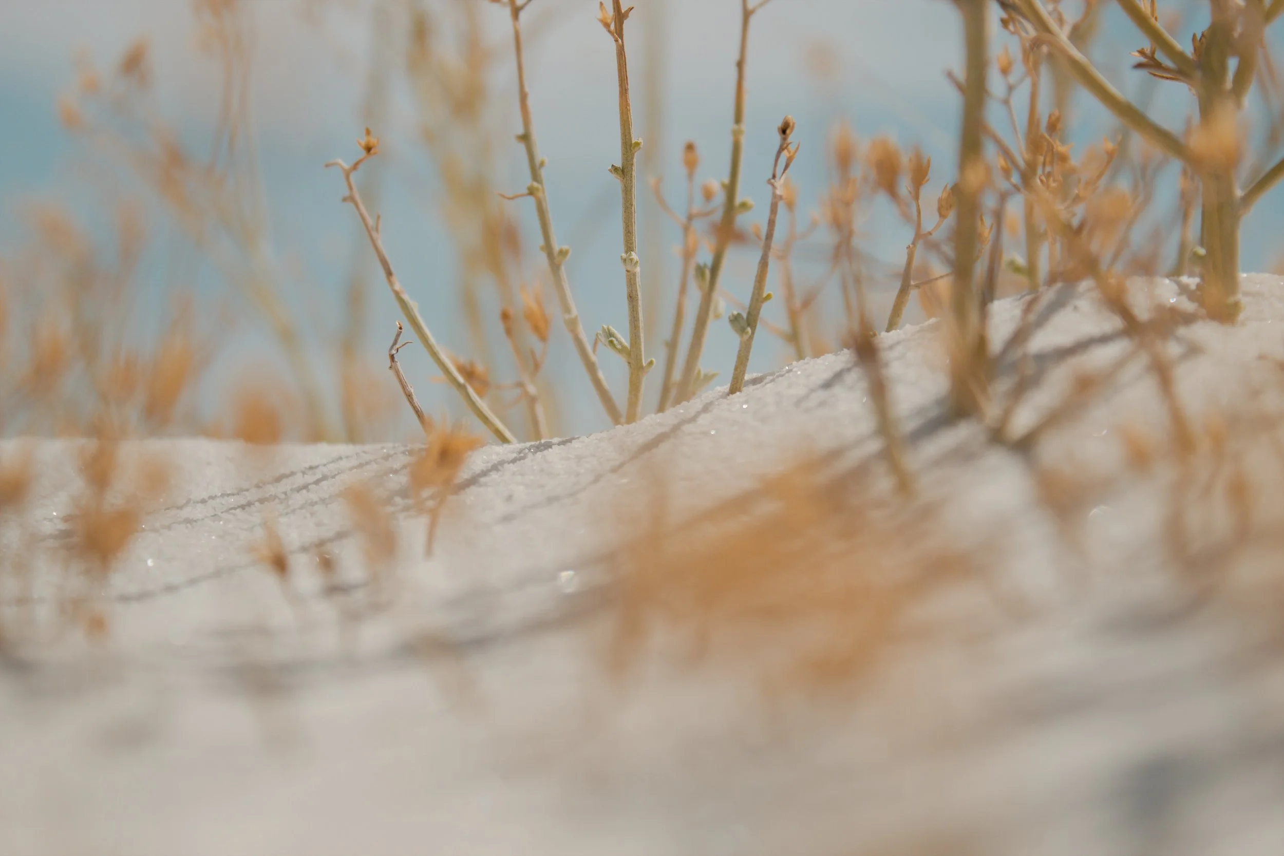 White Sands National Park NM, 2024
