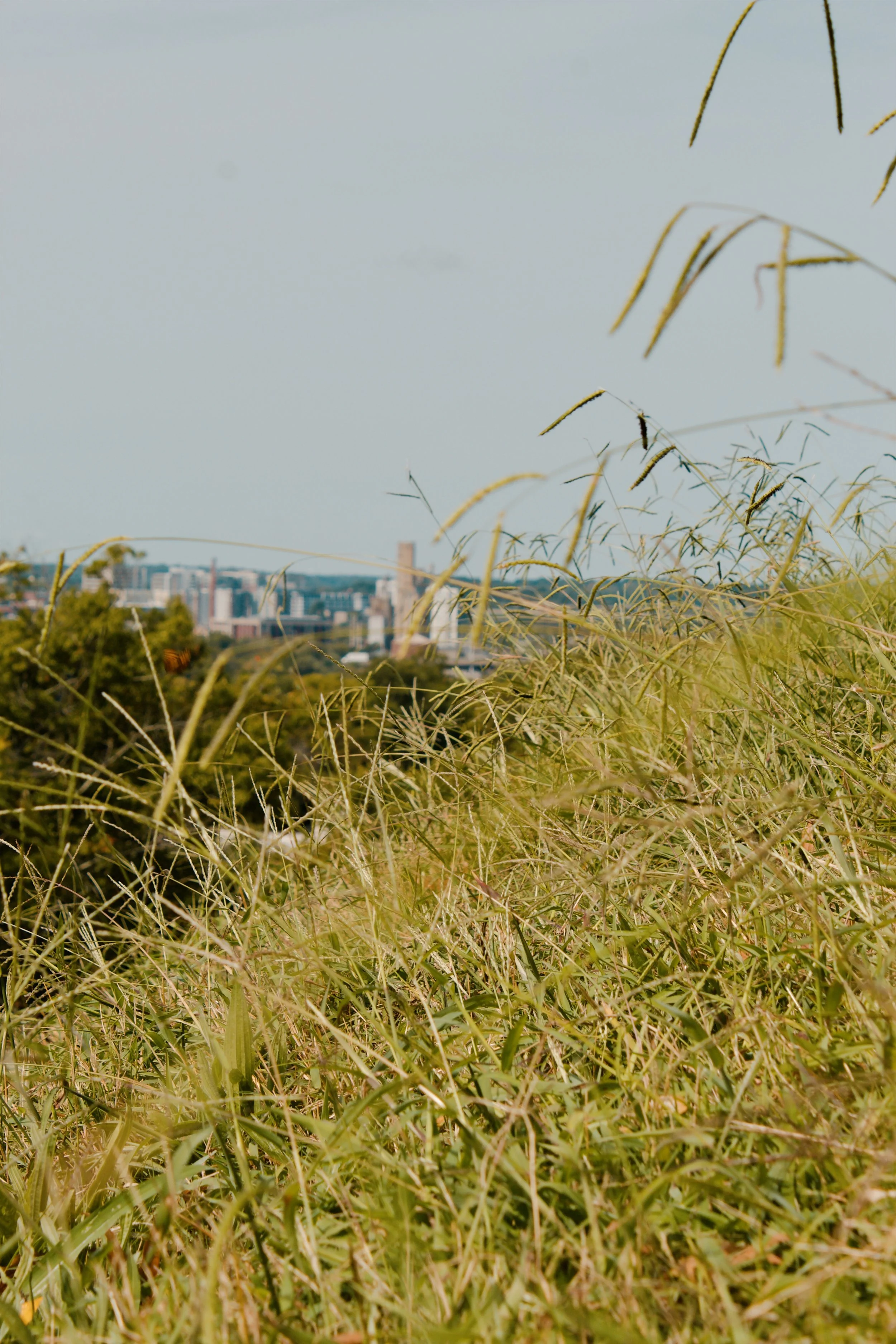Chimborazo Park Richmond VA, 2024