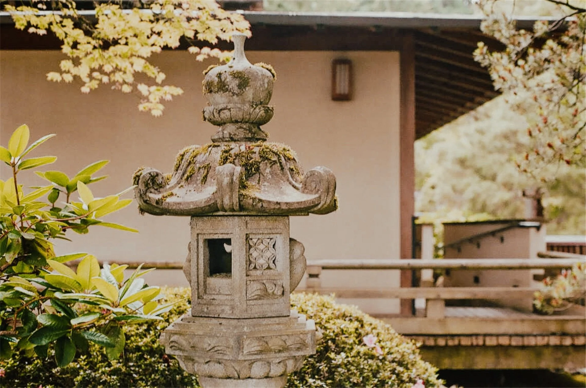 Portland Japanese Gardens OR, 2022