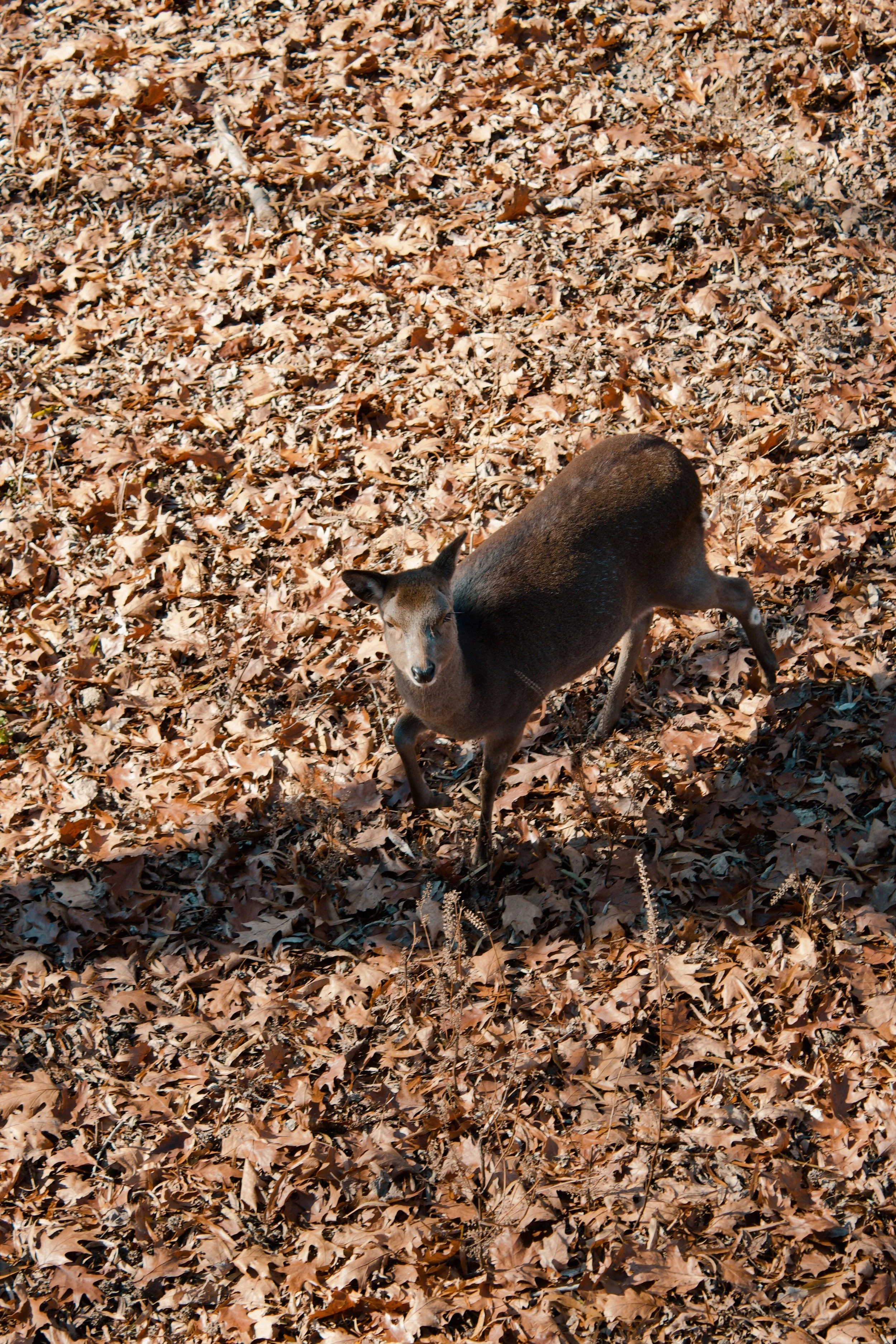 Maymont Richmond VA, 2024