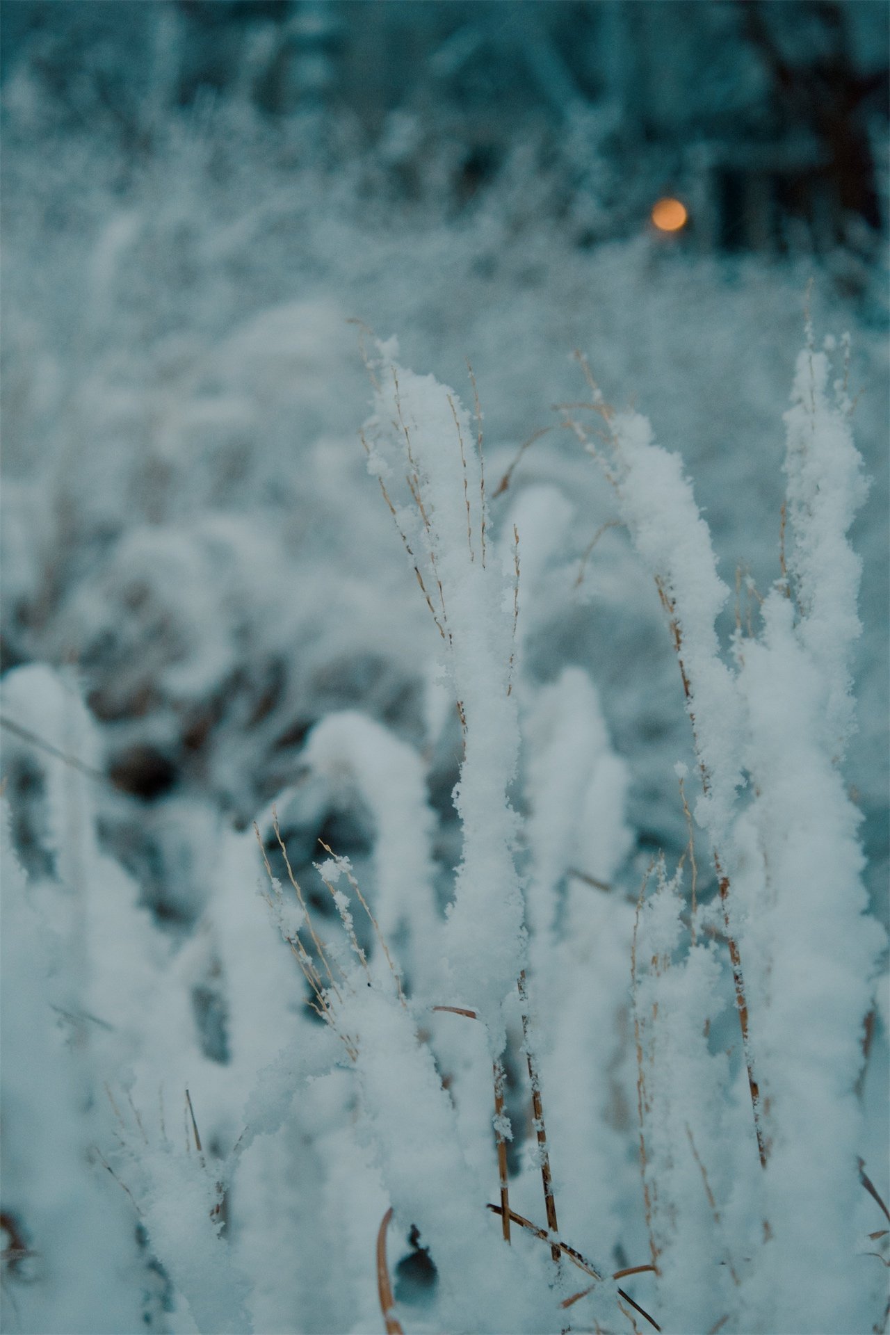 Church Hill Richmond VA, 2026