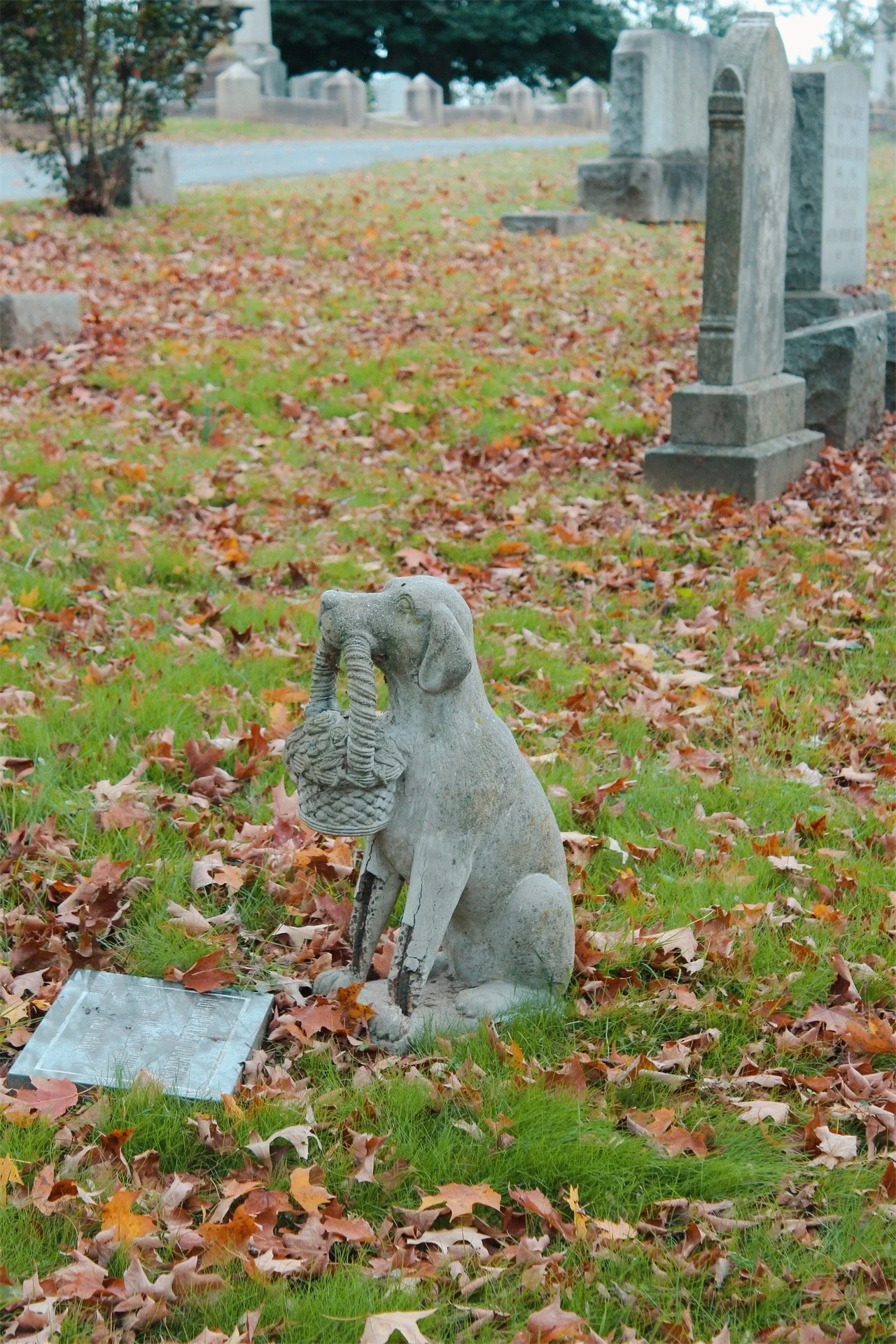 Hollywood Cemetery Richmond VA, 2025