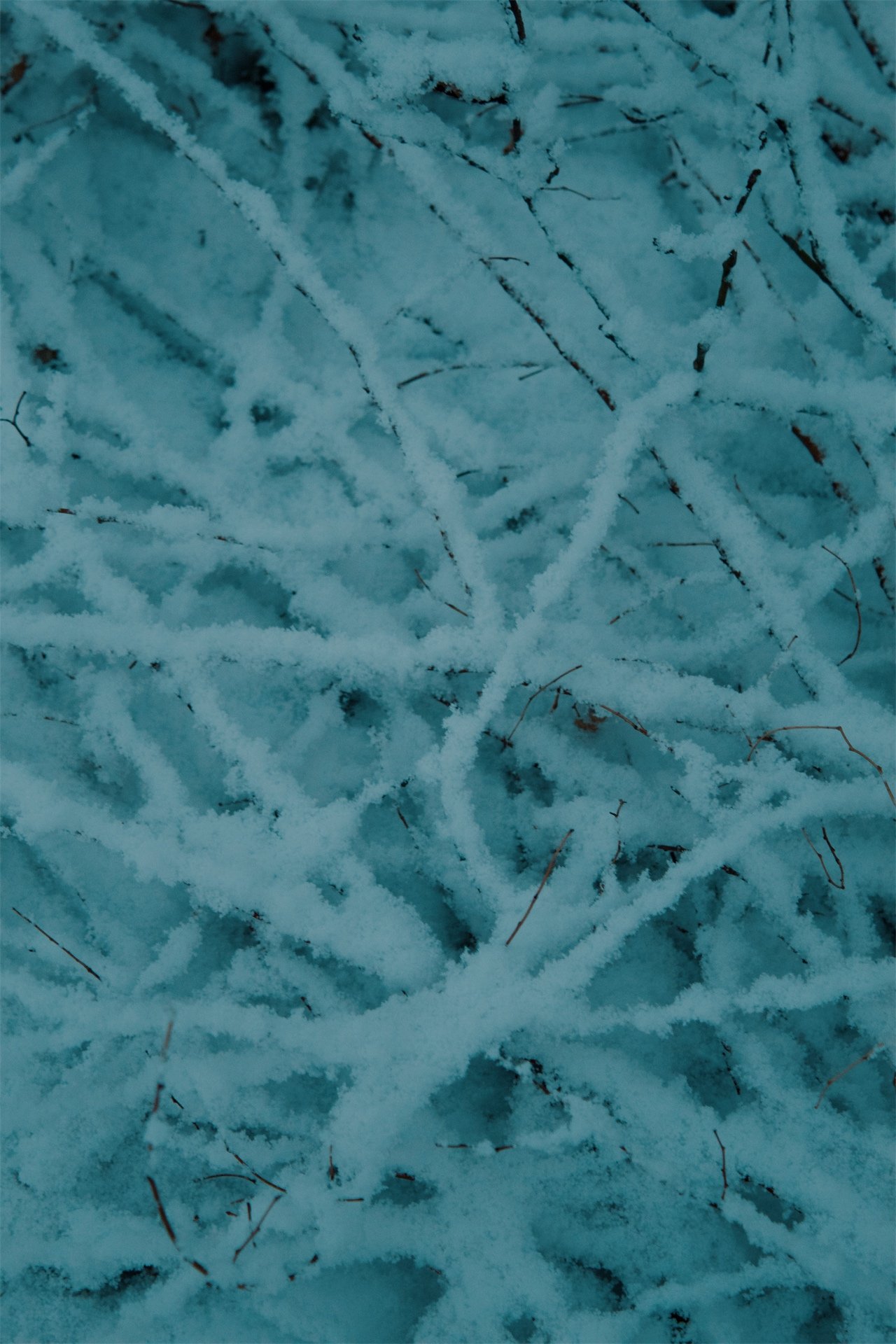 Church Hill Richmond VA, 2026