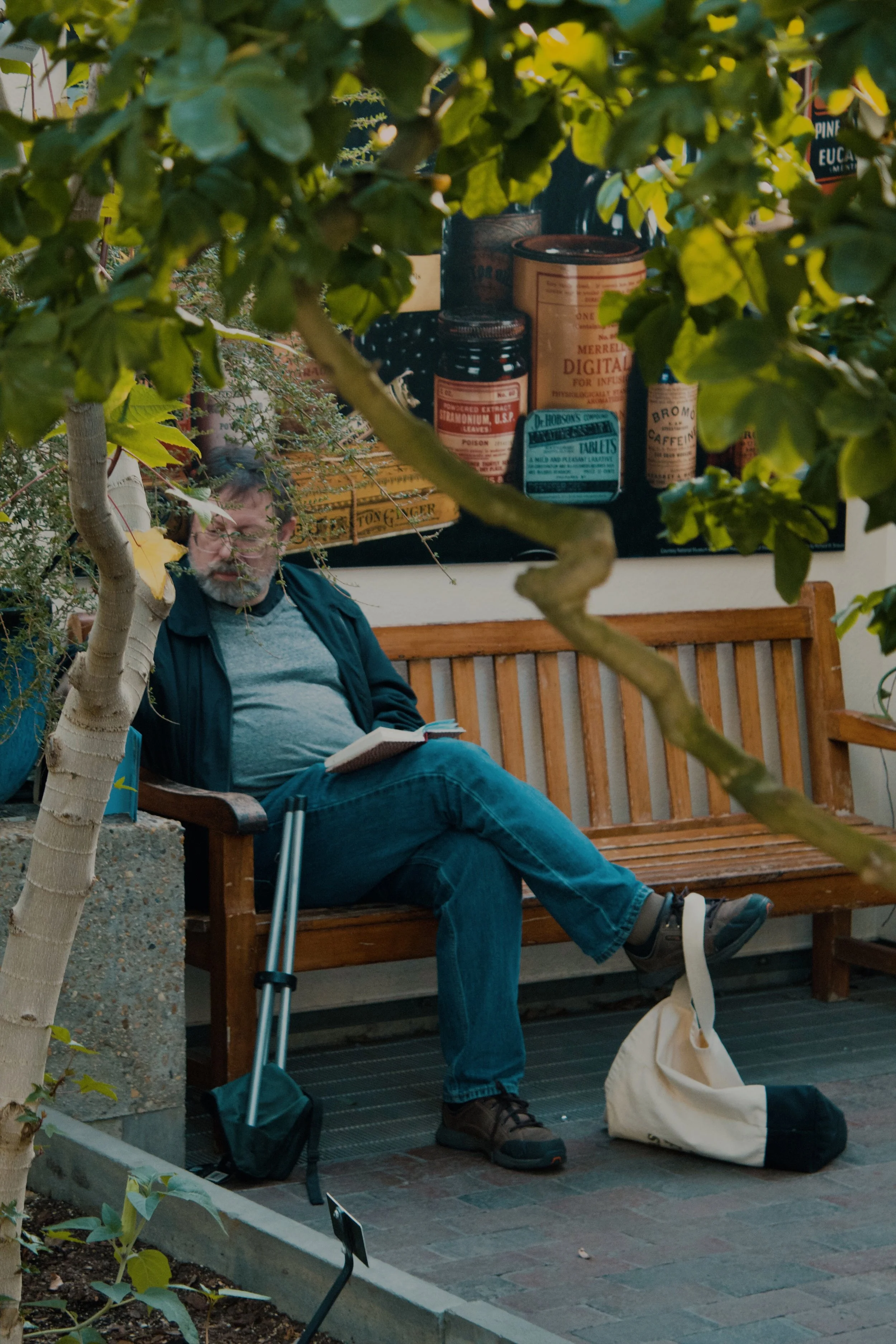 United States Botanic Garden MD, 2024