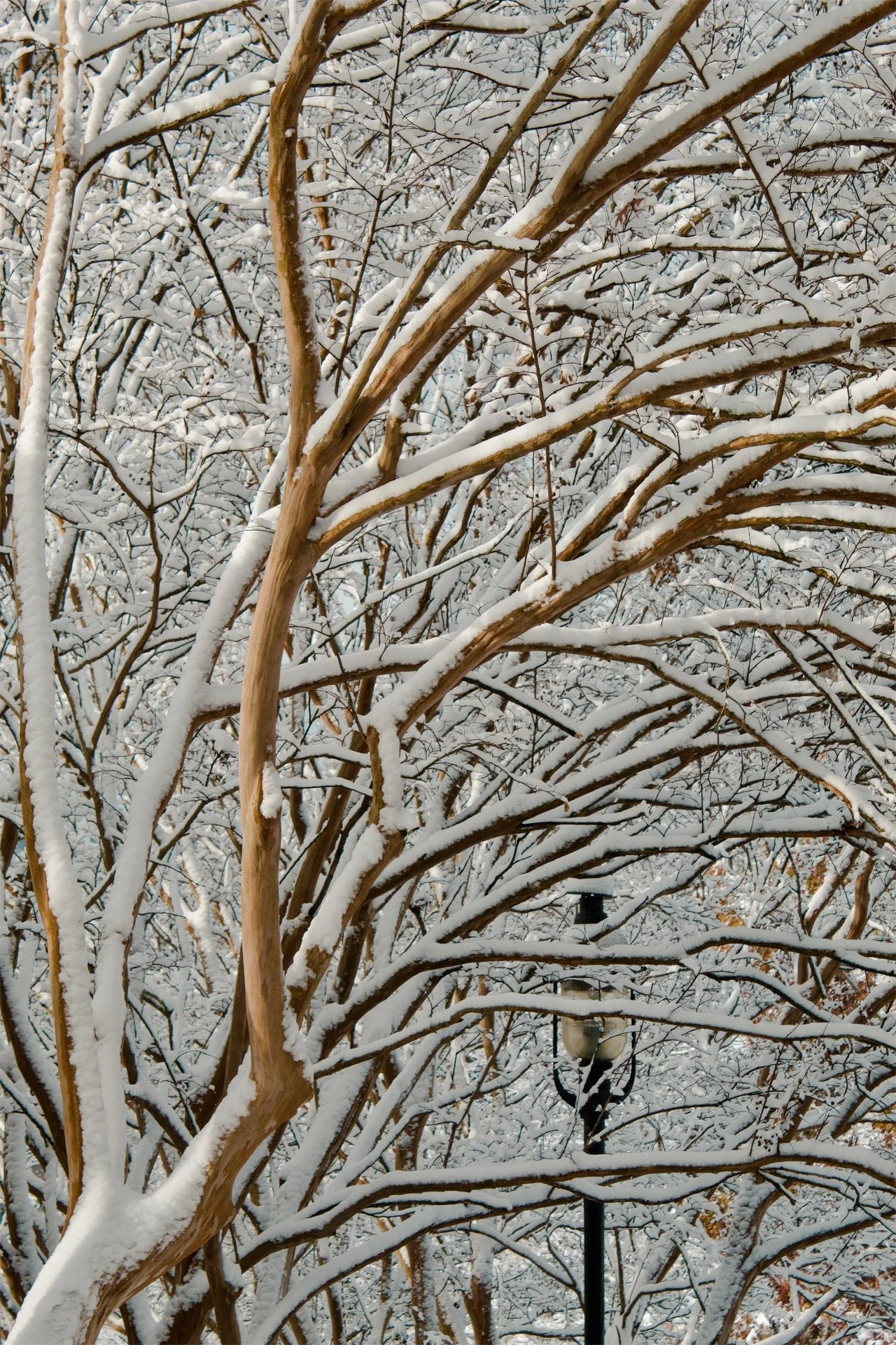 Church Hill Richmond VA, 2025