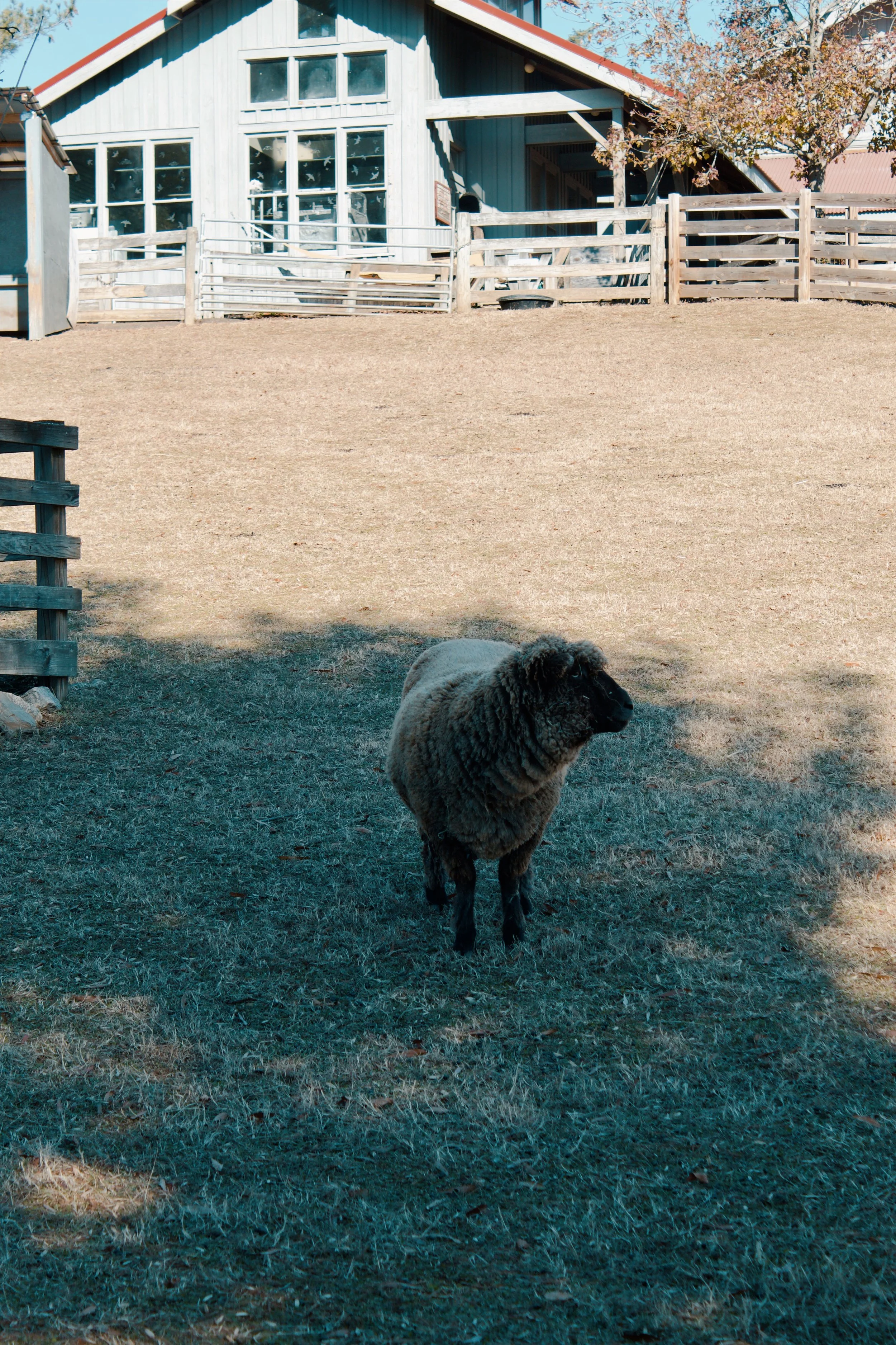 Maymont Richmond VA, 2024