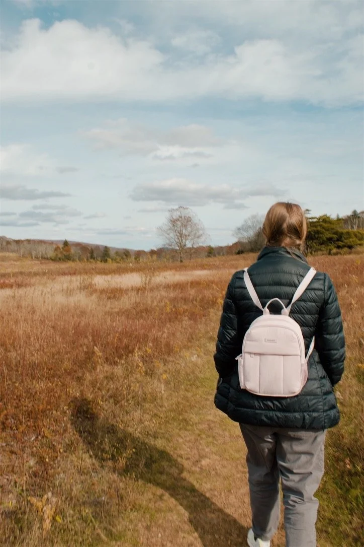 Shenandoah National Park VA, 2025