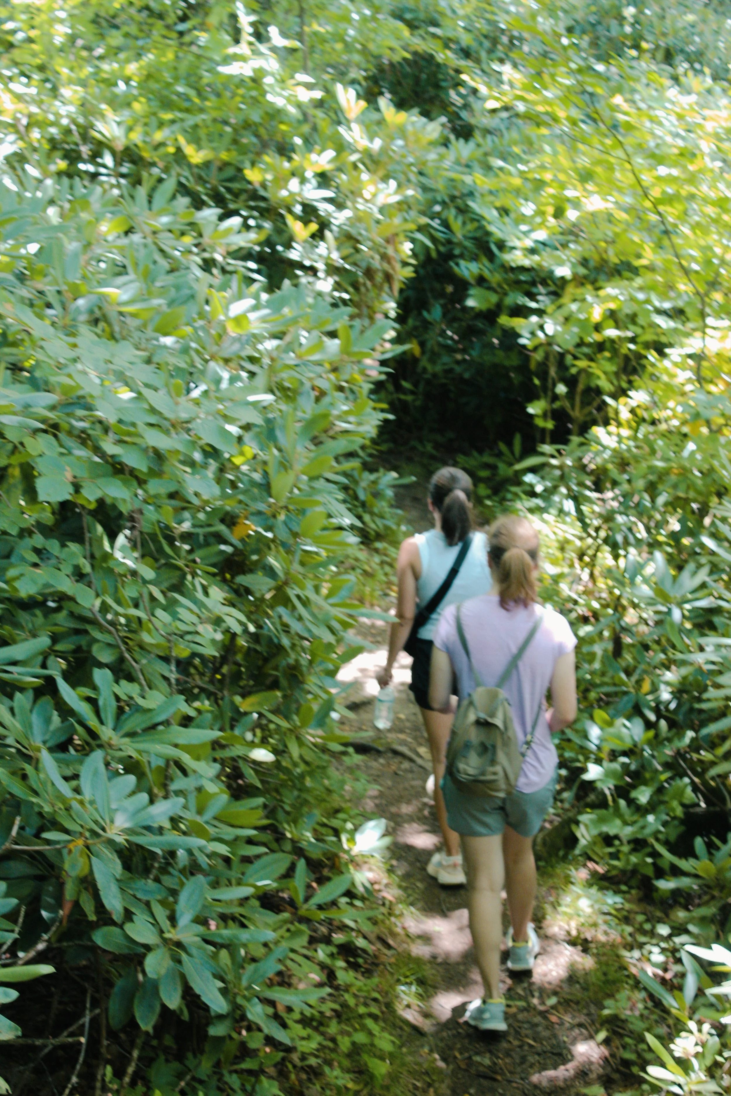 Black Rock Mountain GA, 2024