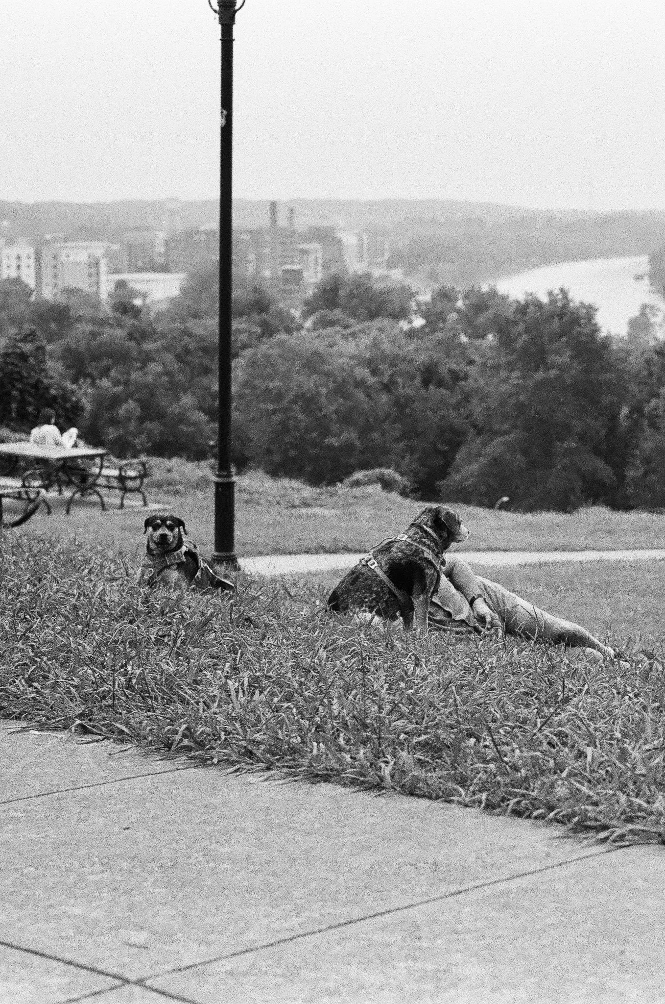 Libby Hill Park Richmond VA, 2025