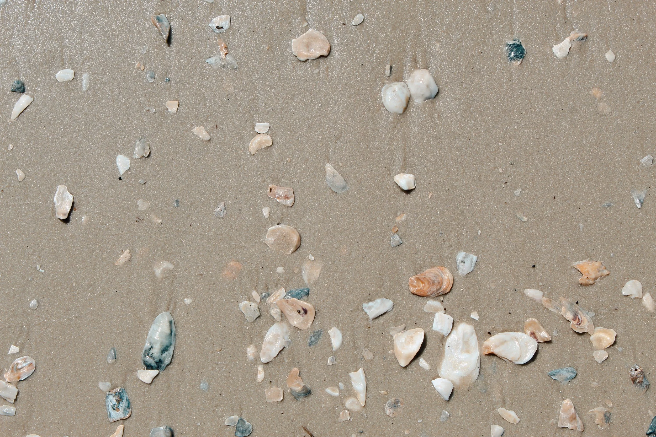 Hilton Head Island SC, 2024