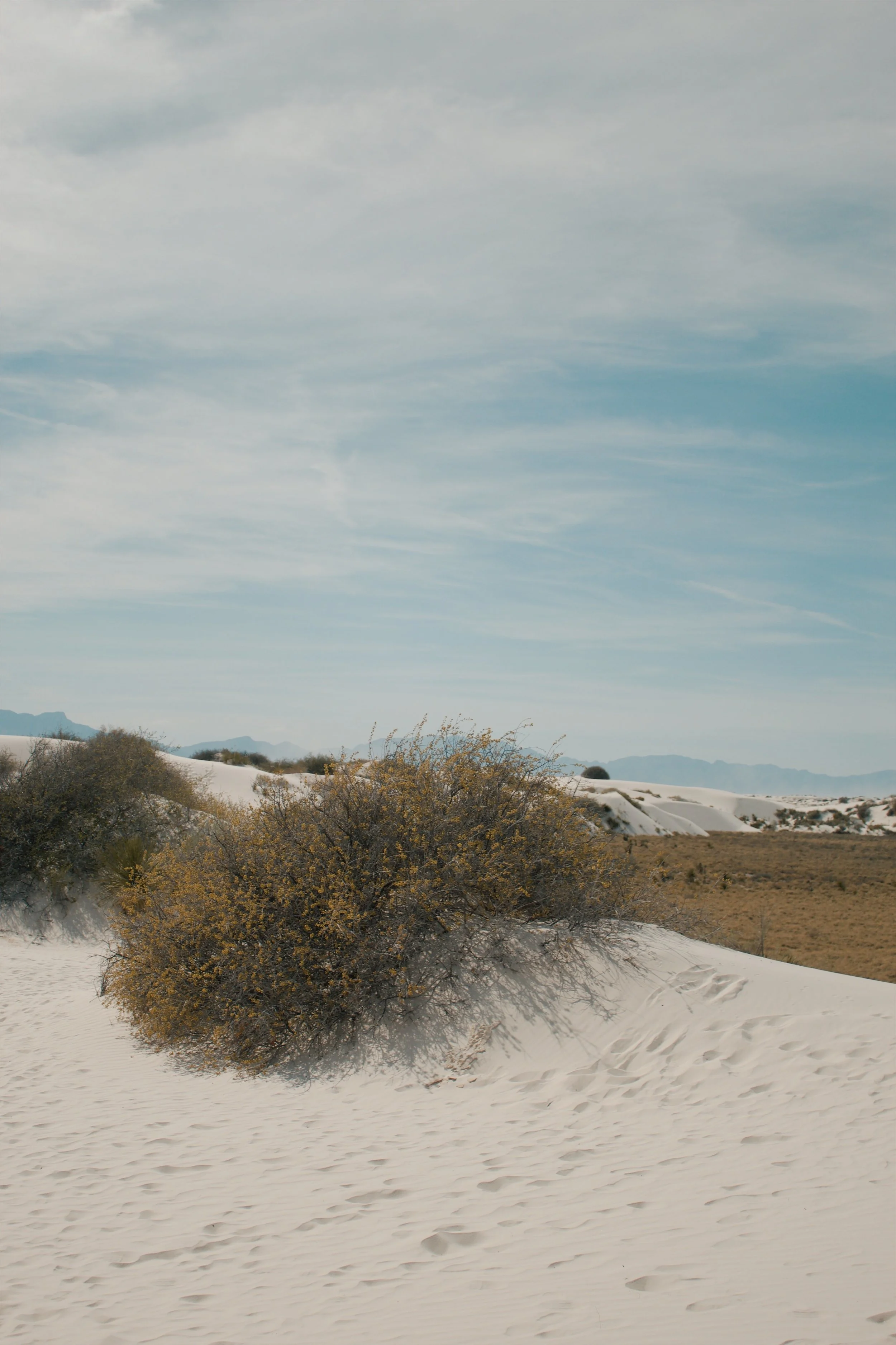 White Sands National Park NM, 2024
