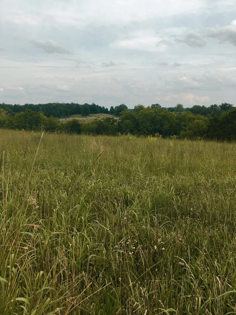 Manassas National Battlefield Park VA, 2026