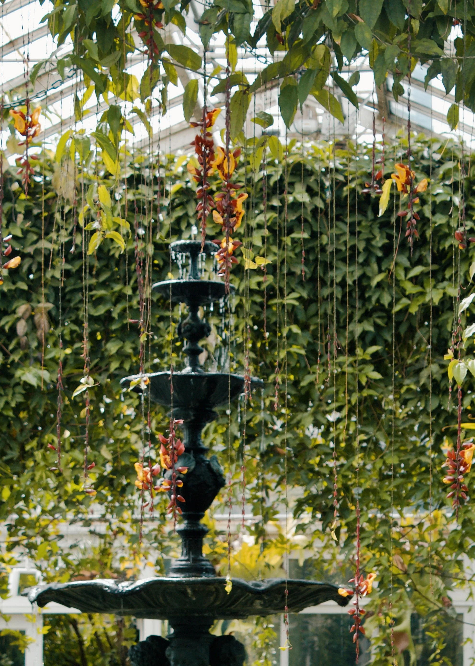 New York Botanical Garden NYC, 2025