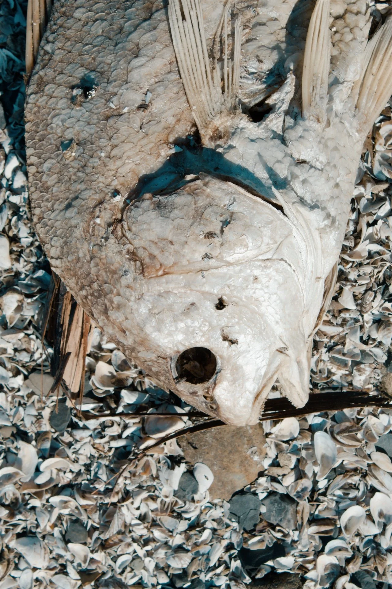 Lake Erie Vermilion OH, 2026