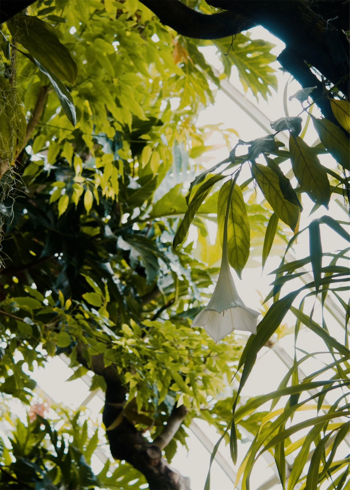 New York Botanical Garden NYC, 2025