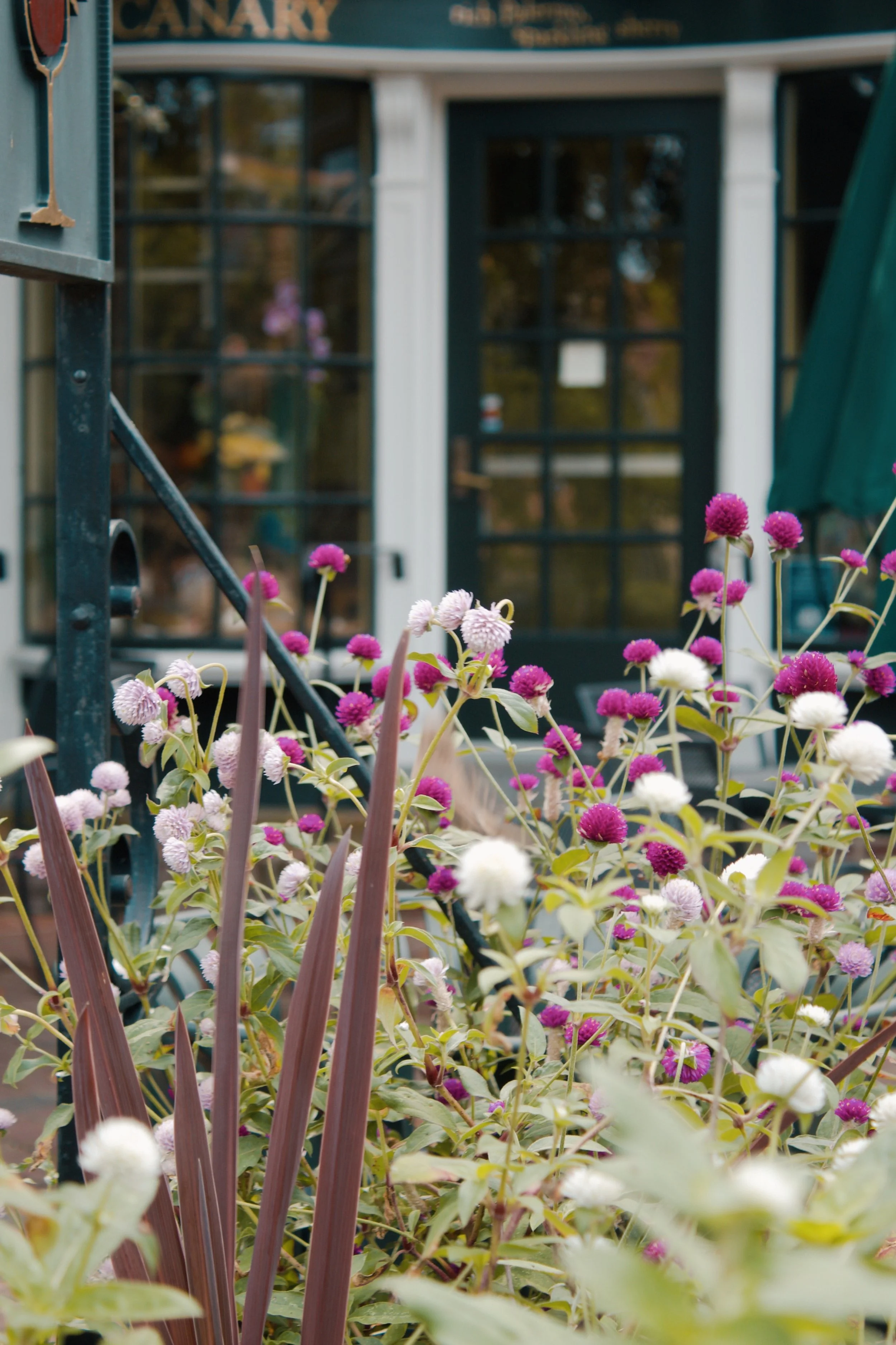 Williamsburg VA, 2024