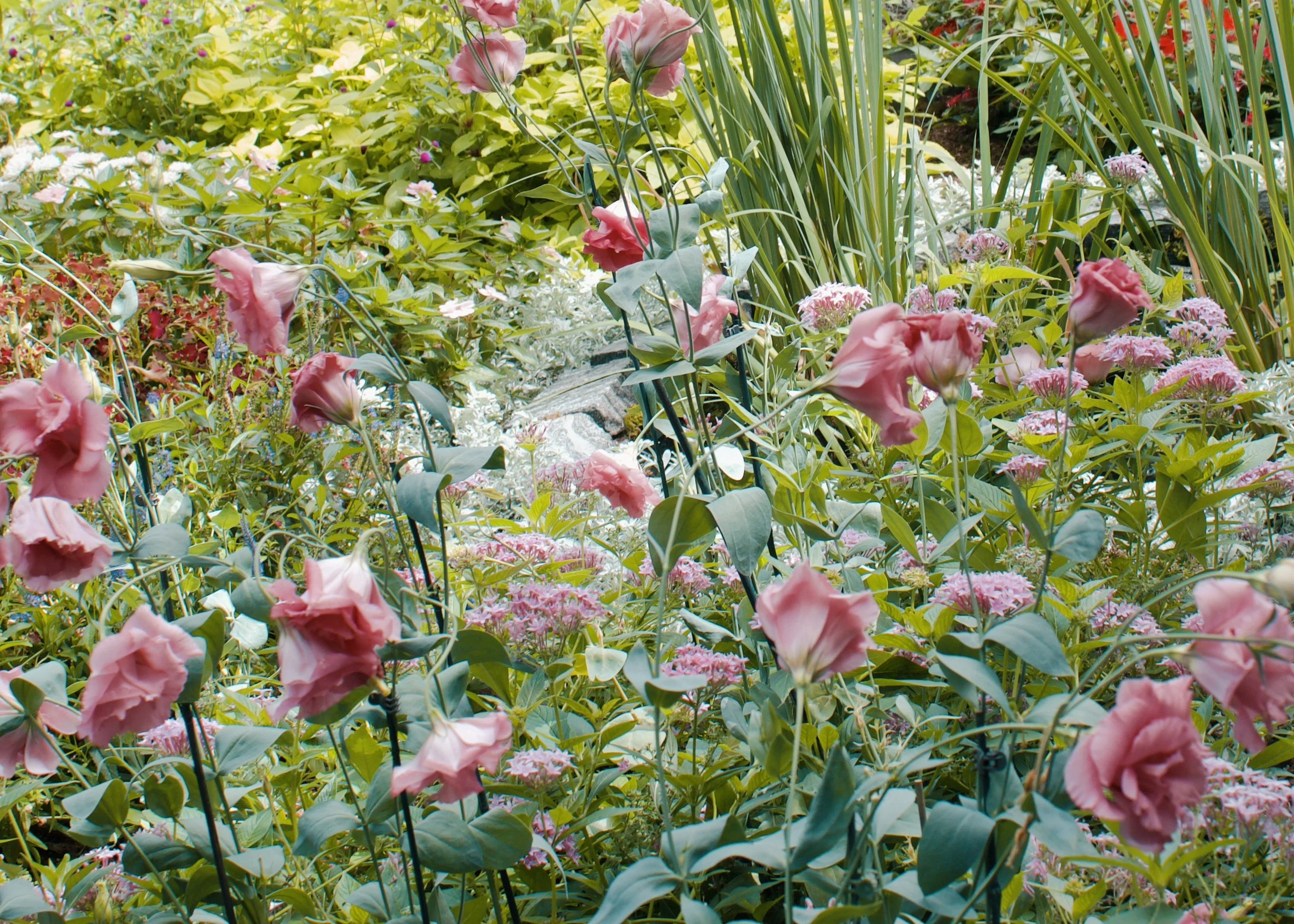 New York Botanical Garden NYC, 2025