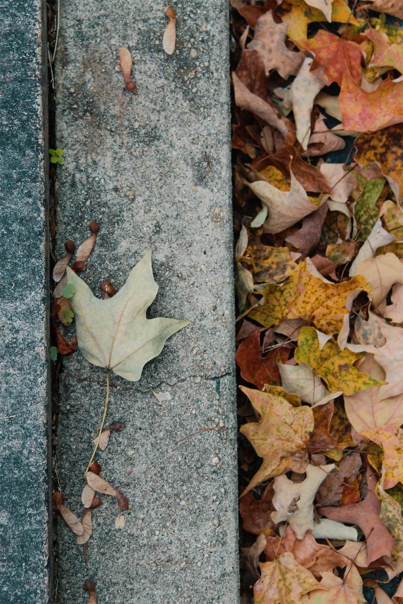 Hollywood Cemetery Richmond VA, 2025