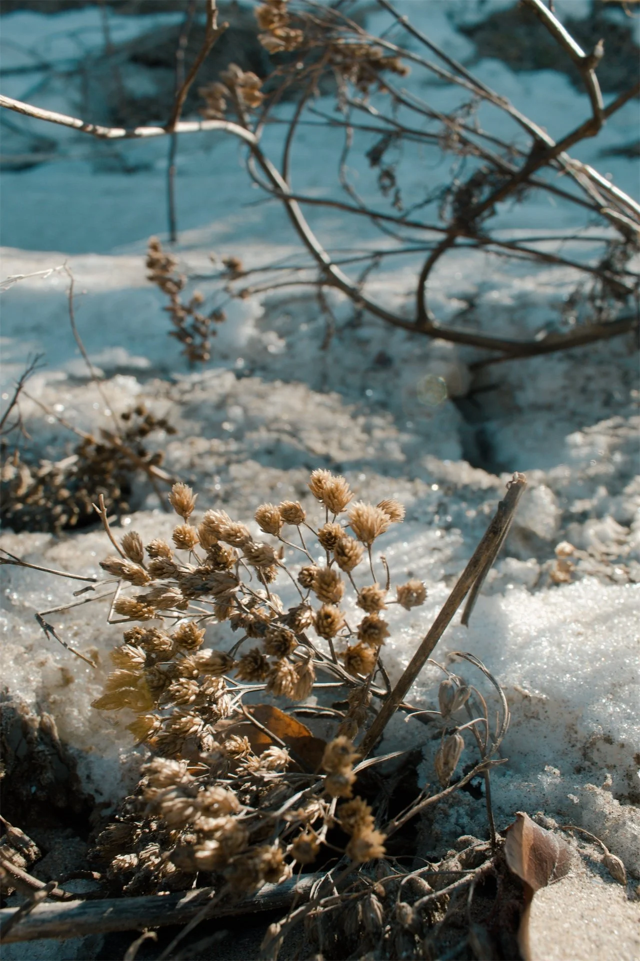 Lake Erie Vermilion OH, 2026
