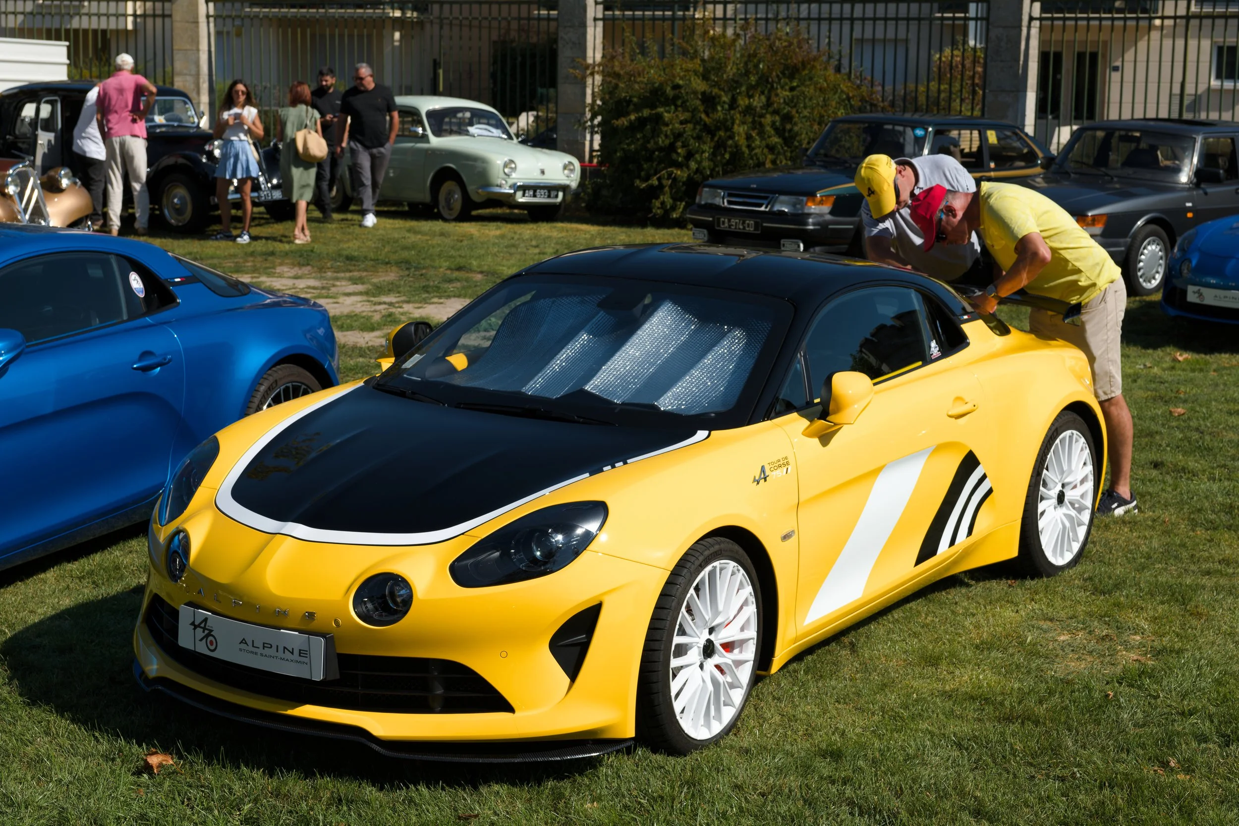 Alpine 08.jpg