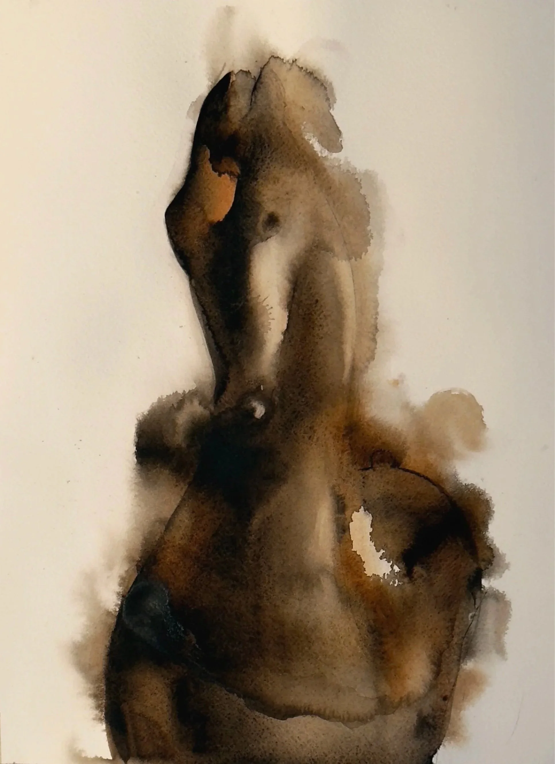 Untamed, 2025. Watercolor on 100% organic cotton cold pressed paper / 11 x 17 inches.