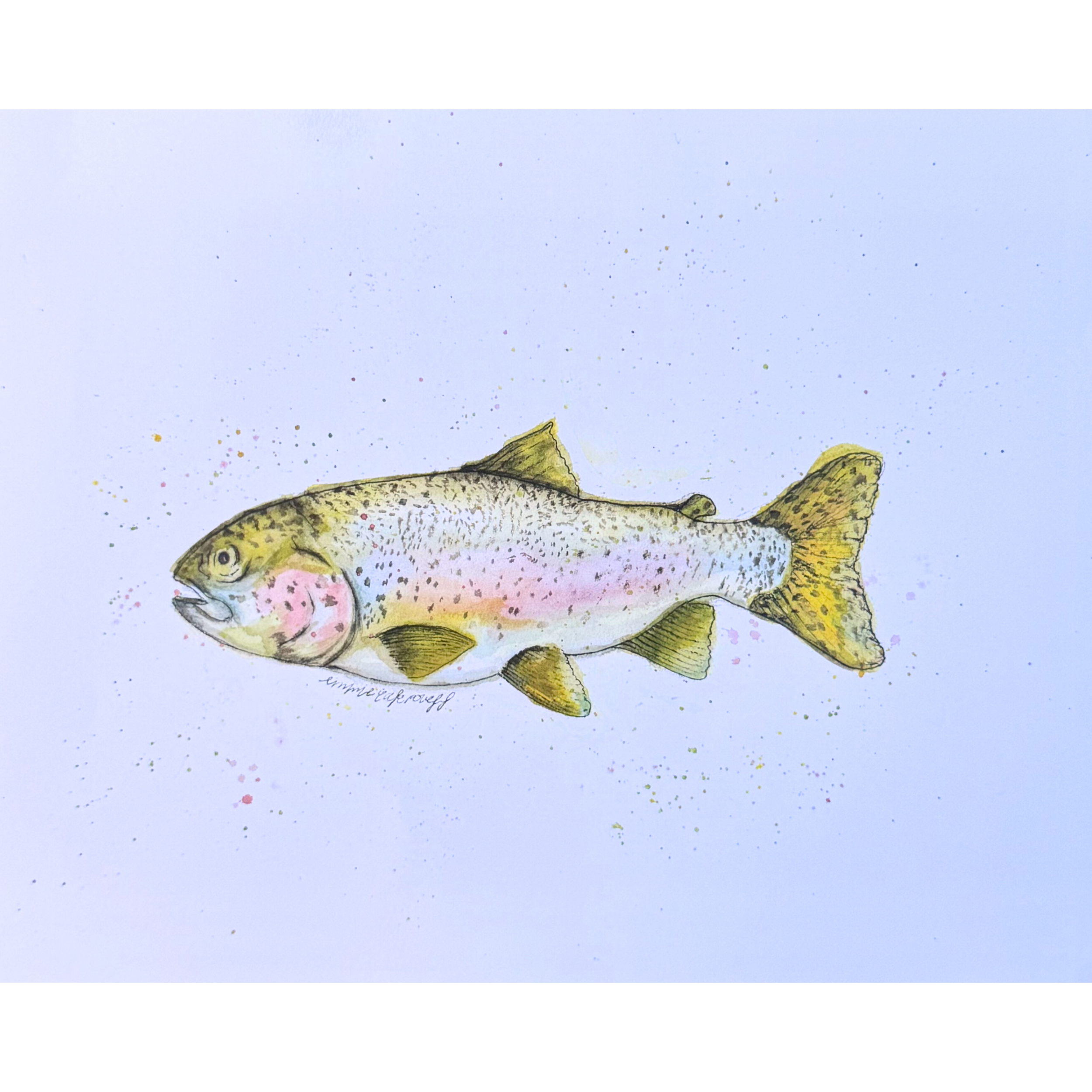 Rainbow Trout Watercolor Print