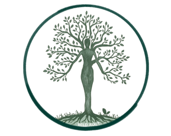 A logo featuring a human figure with a tree for a head, branches extending outward resembling hair, and roots visible below the figure. The logo is enclosed in a circular outline with the text "WILD ROOT" at the bottom.