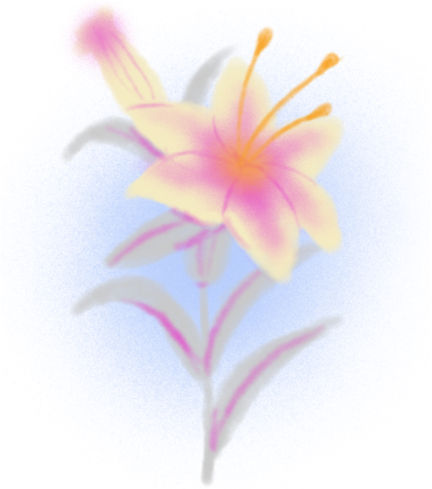 A yellow and pink lily flower with six petals and reproductive organs against a light blue background.