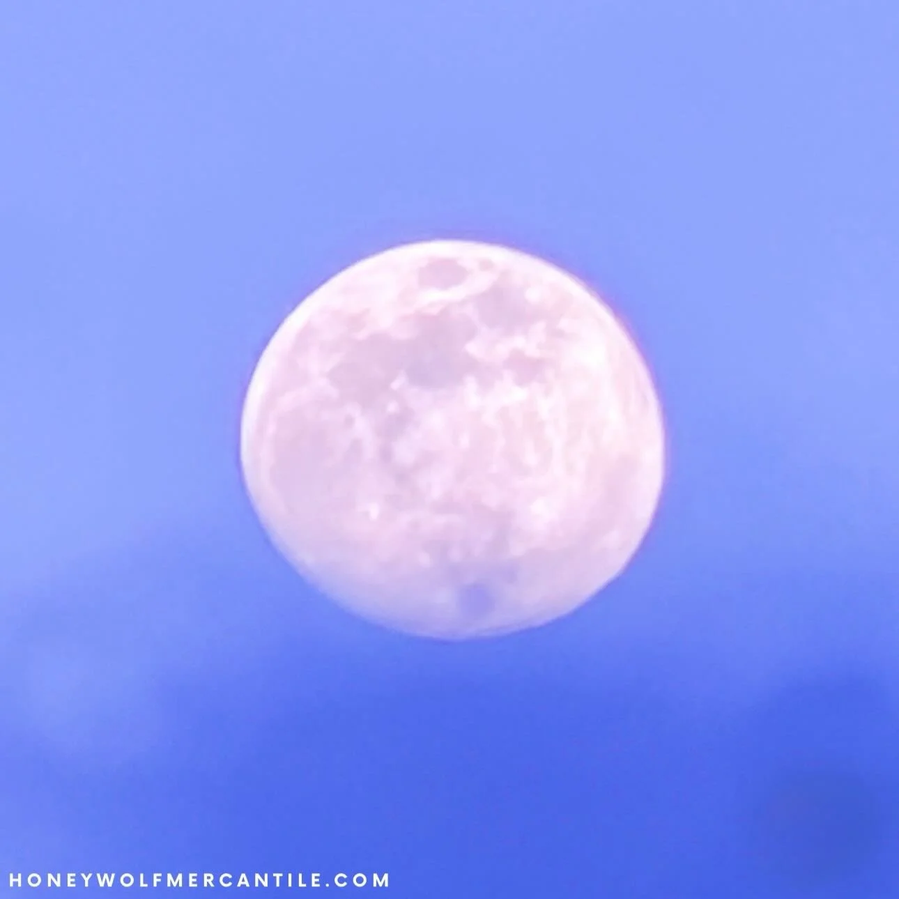 The final full moon of Year of the Snake is tonight. Which identities have you shed this year? What has come to an end for you recently? 

While it is crucial to name and identify what ends, it is equally crucial to name and identify what comes next 