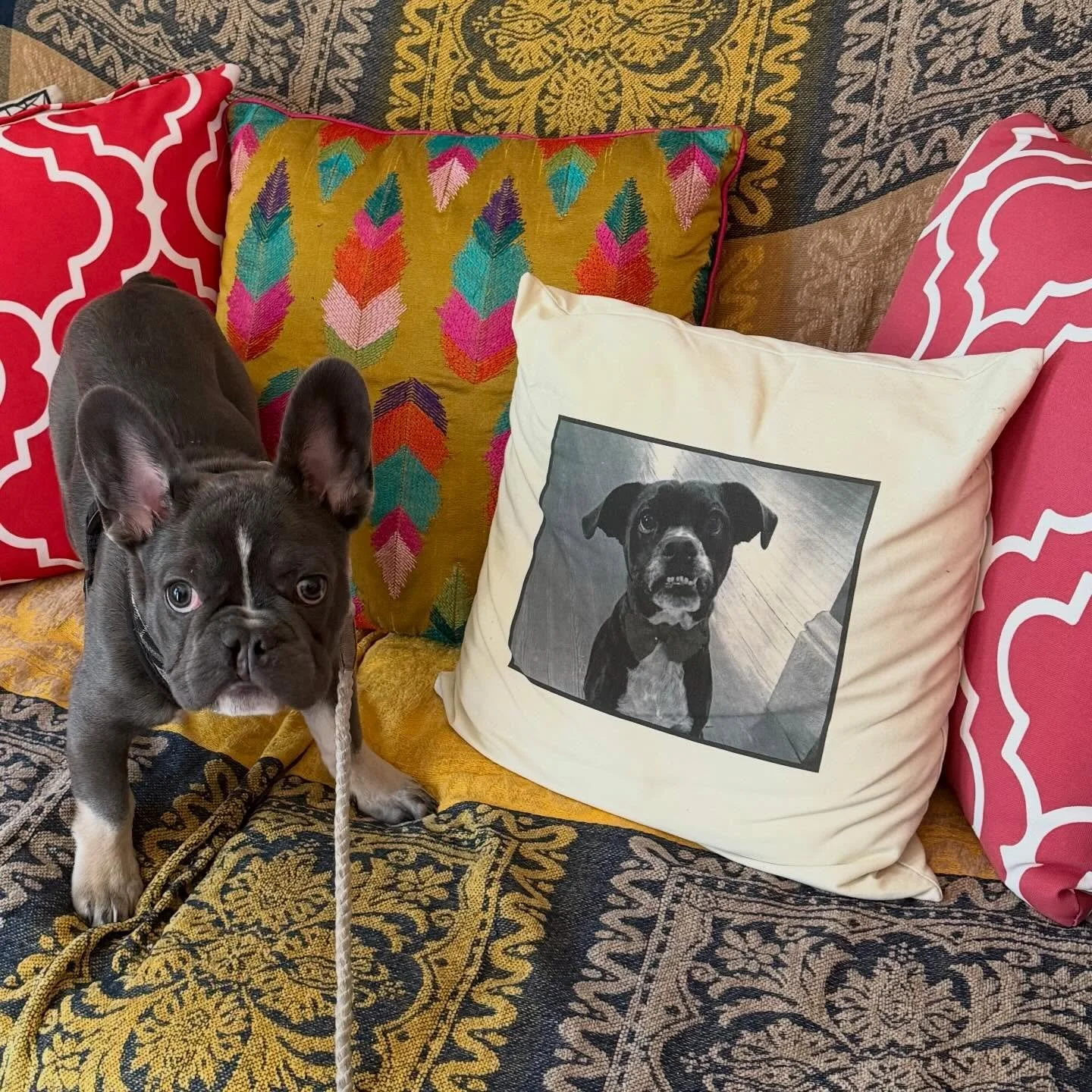 🐝 During Emilea &amp; Merlin&rsquo;s magical visit to our shop &amp; grove yesterday, we came to the conclusion (yet again) that gathering together is one of the most radical acts we have available to us. 

I&rsquo;ve been thinking about this quote 