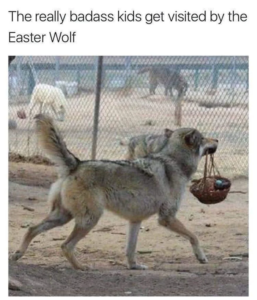 Hoppy Eostre to all of you badass kids from the Honeywolf. 

Goddess Bless. 🍯 🐺 🐣 

#honeywolfmercantile