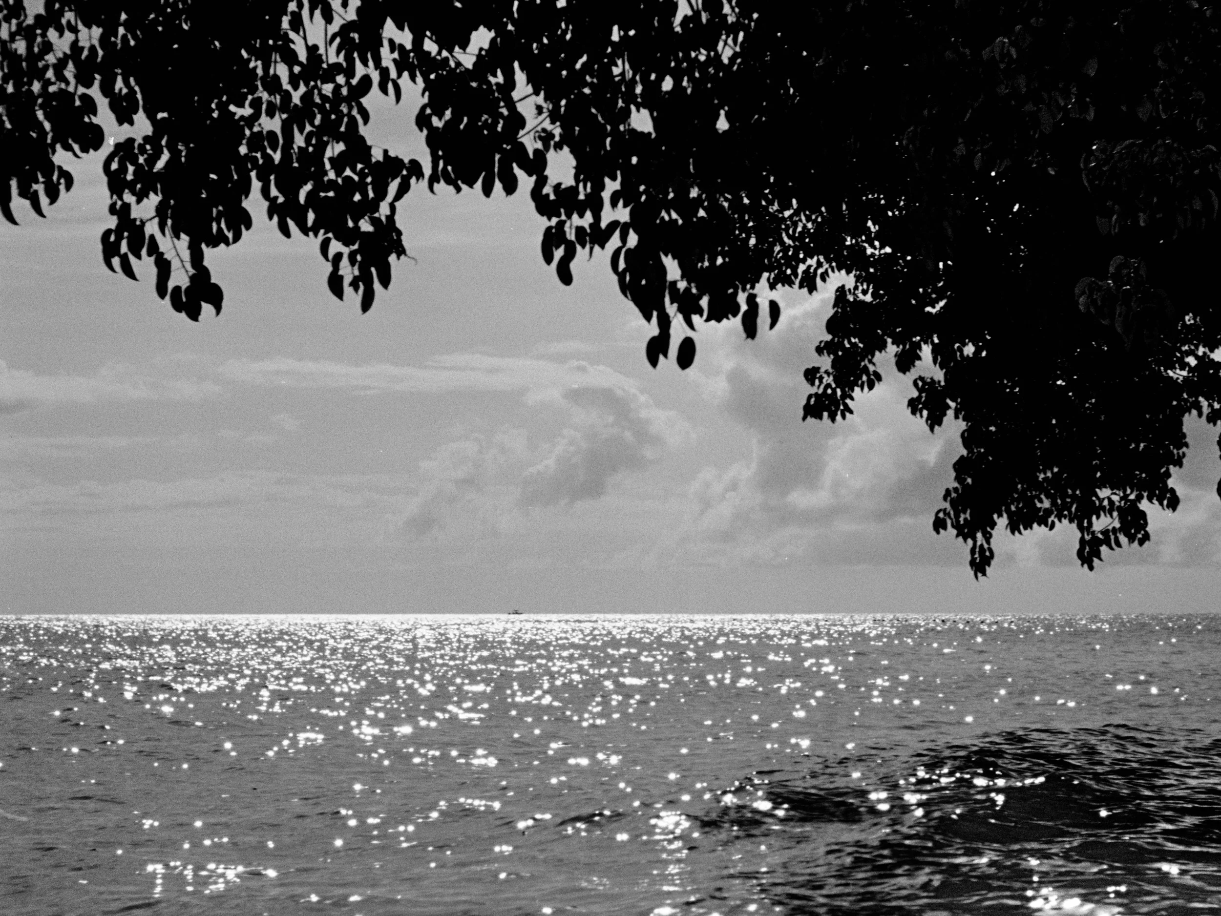 23-solitude.jpg