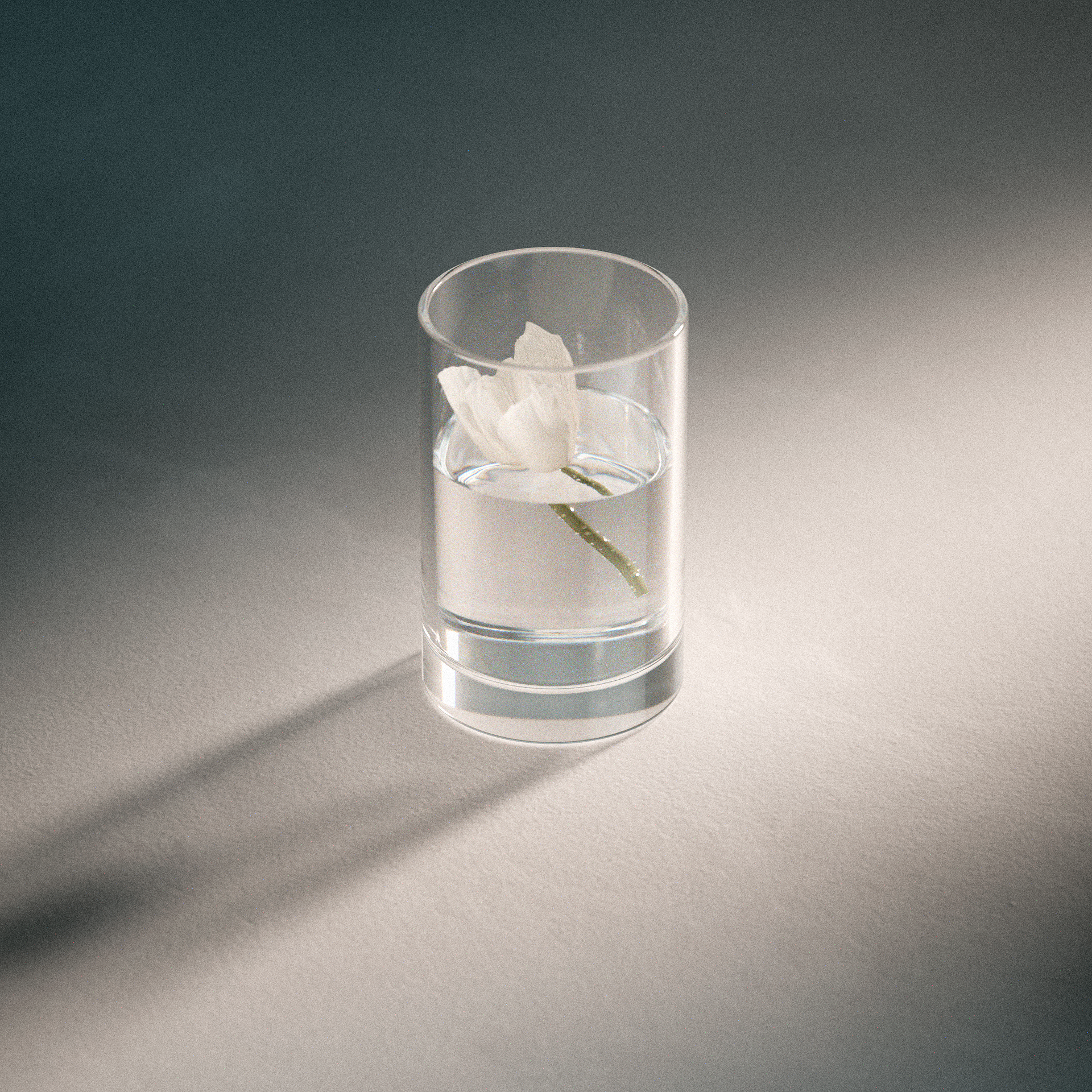 GLASS_15 copia_edit.png