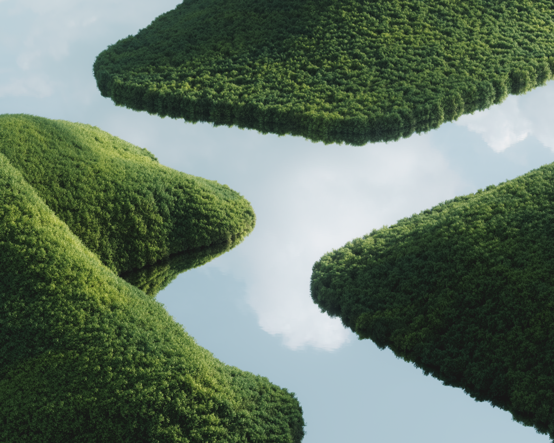Arbol_03_02.png