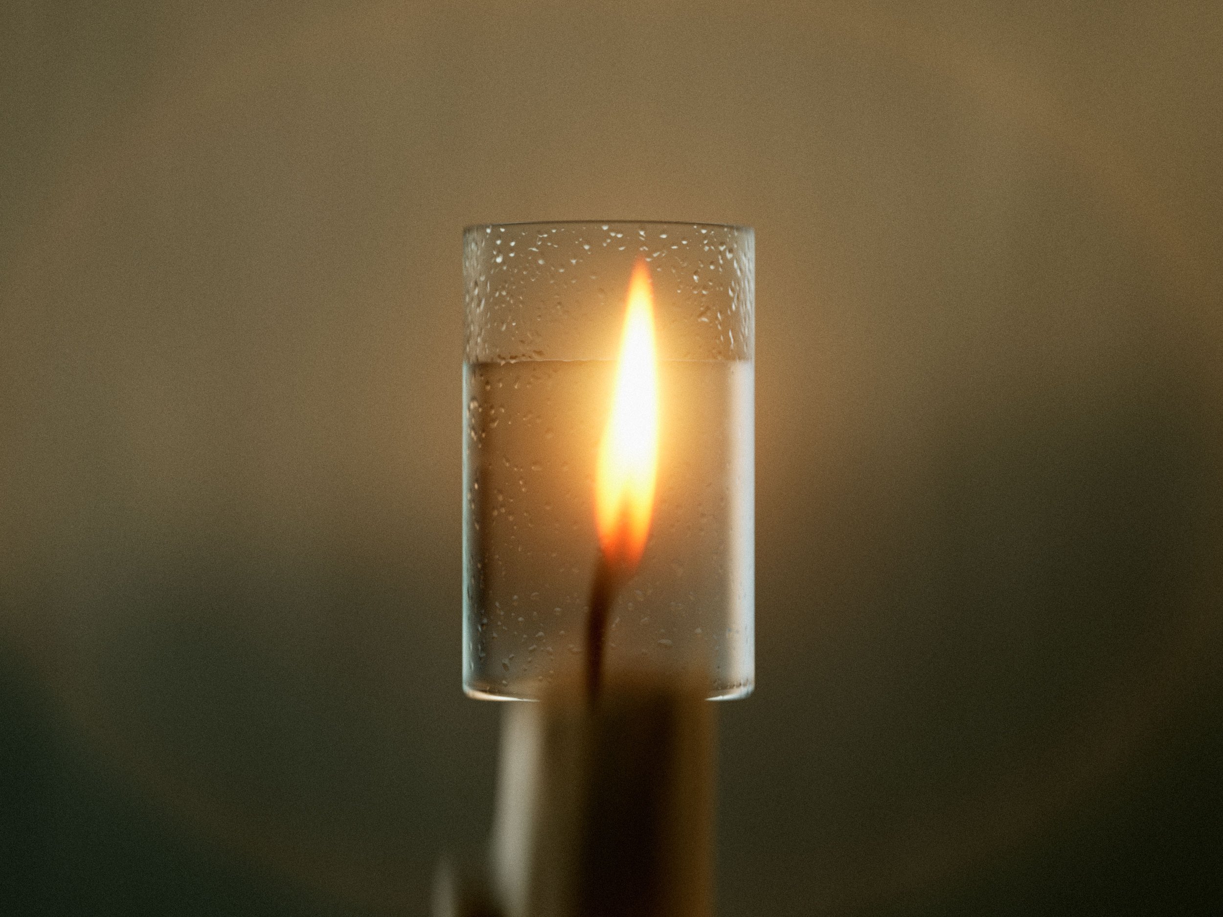 a_traves-de-la-luz_01_edit_web.jpg