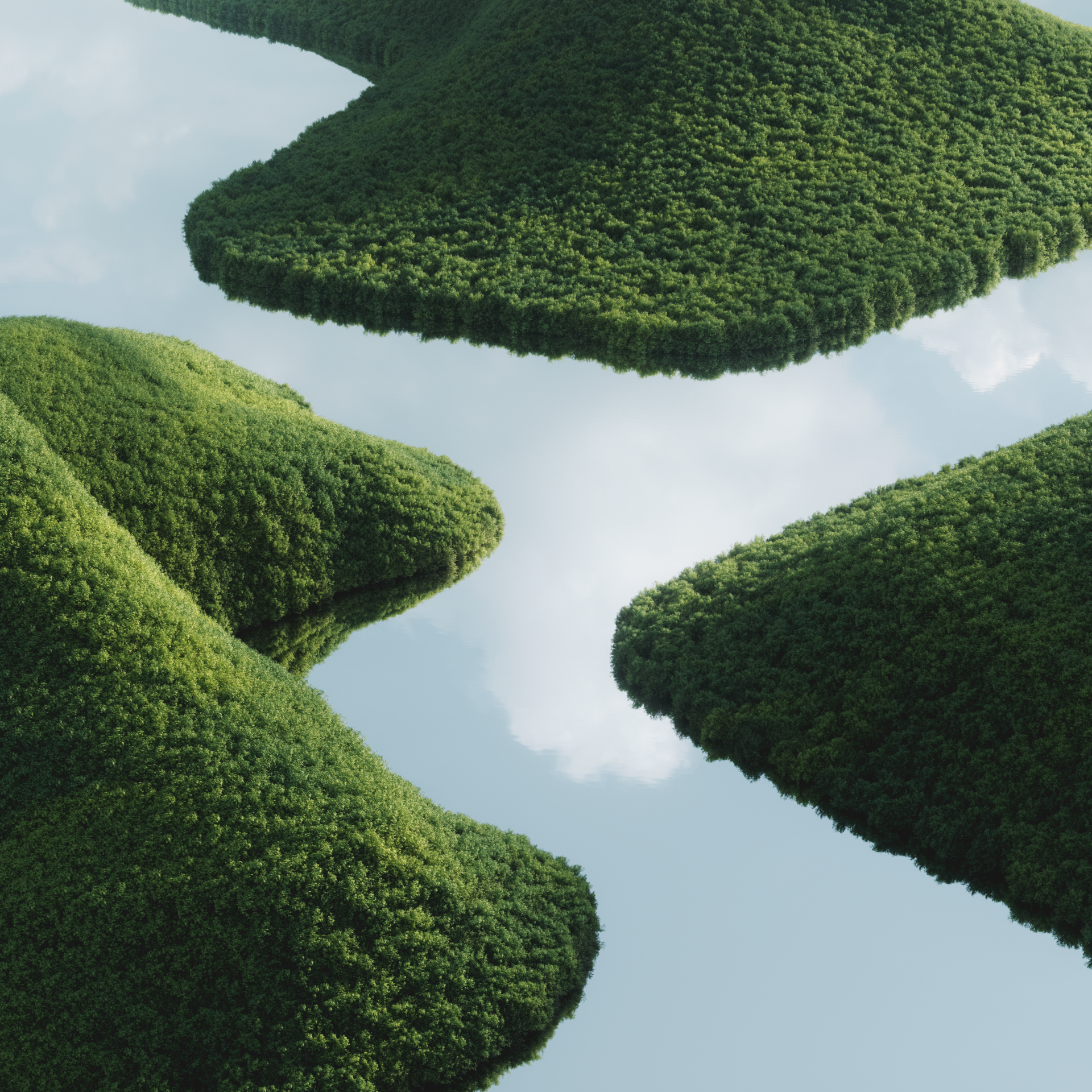 Arbol_03_02.png