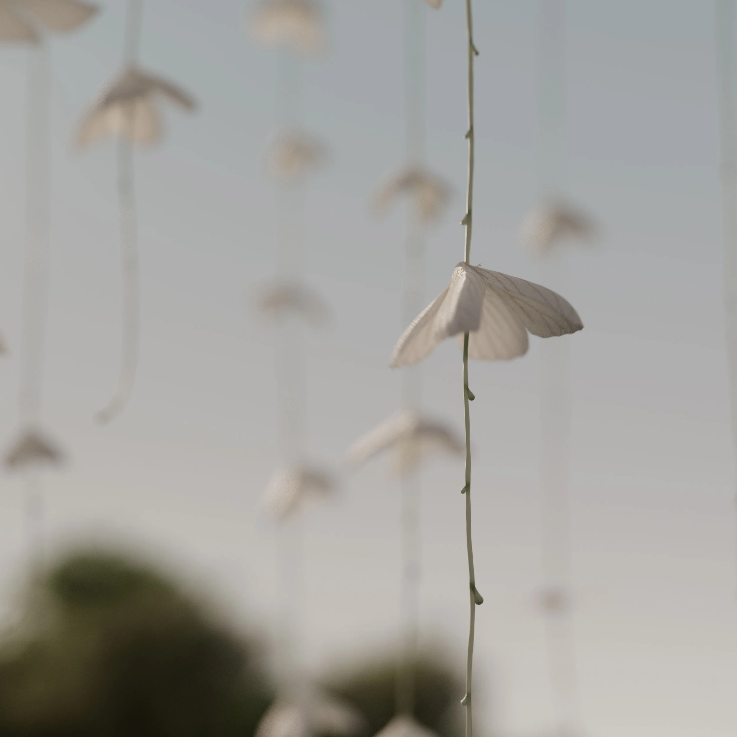 600_Butterflies_Branch_ART_v14_0135.jpg