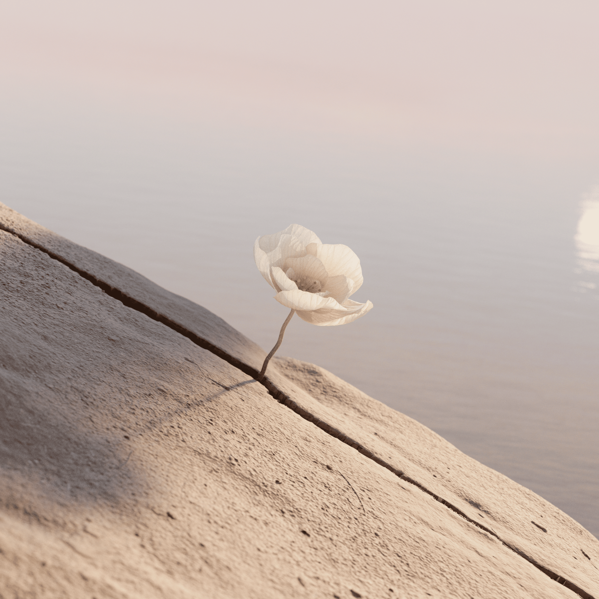 300_flower_fall_v07_cam_alt0026-1920x1920.png