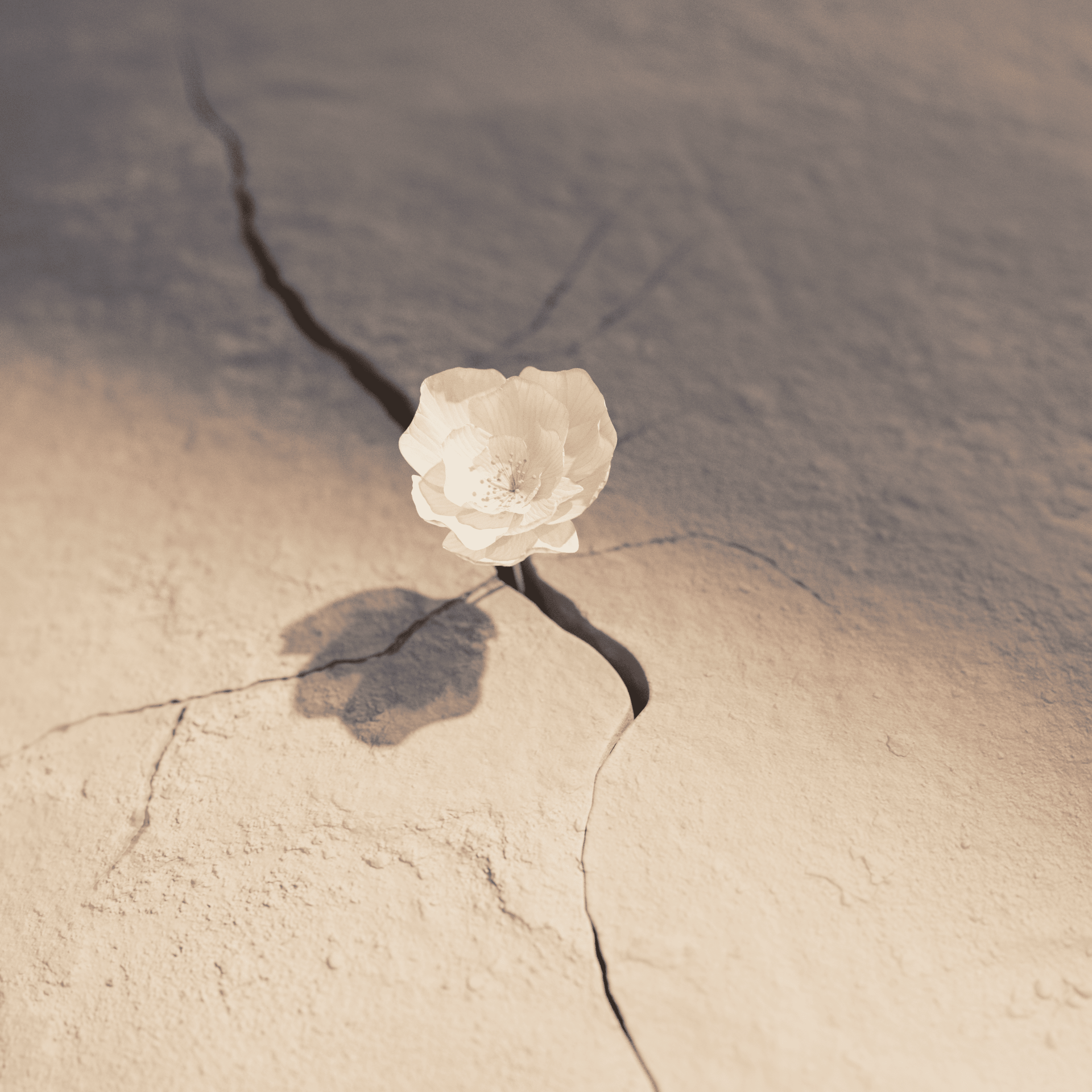 200_flower_birth_v09_0243-1920x1920.png