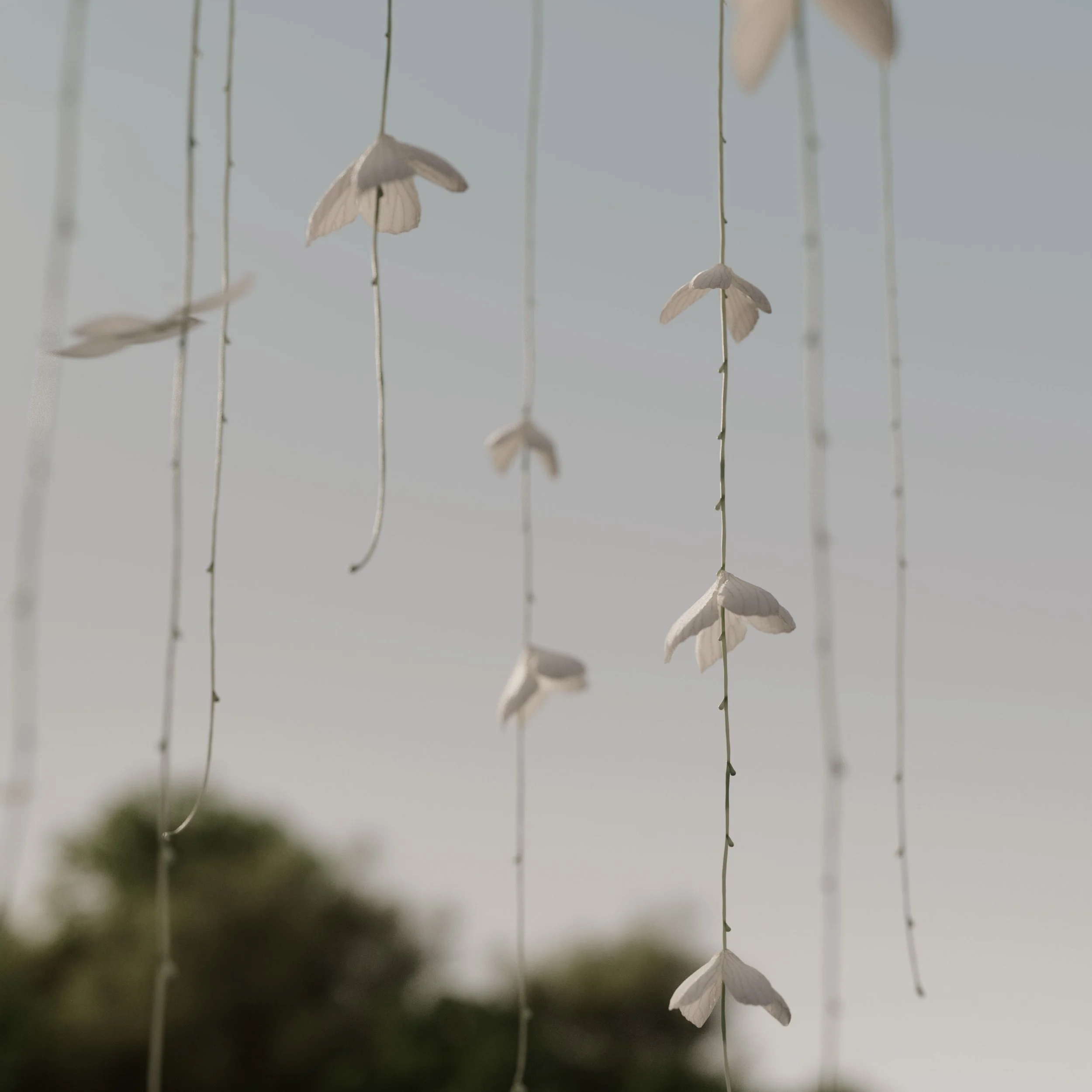 600_Butterflies_Branch_ART_v14_0018.jpg