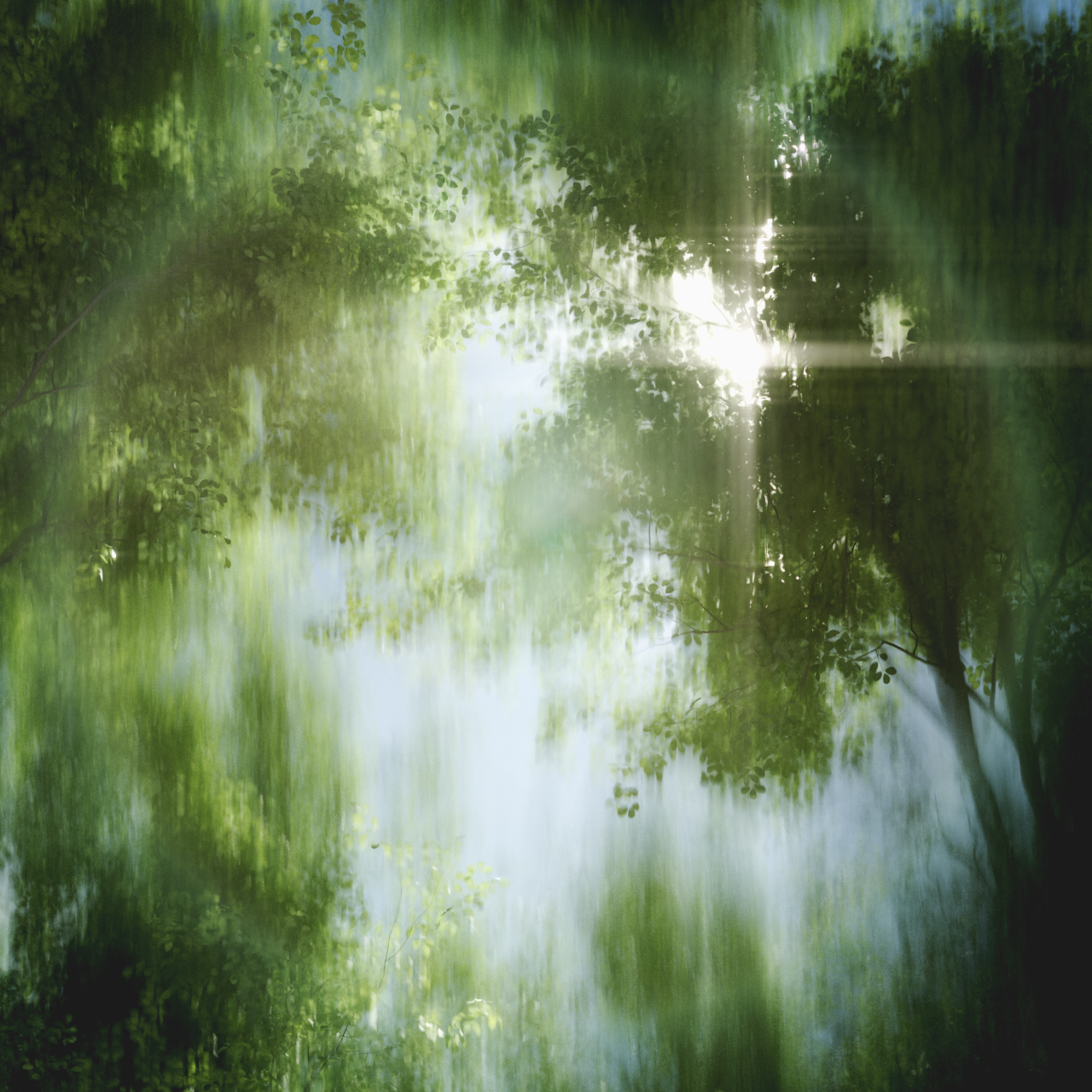 Arbol_010_06.png