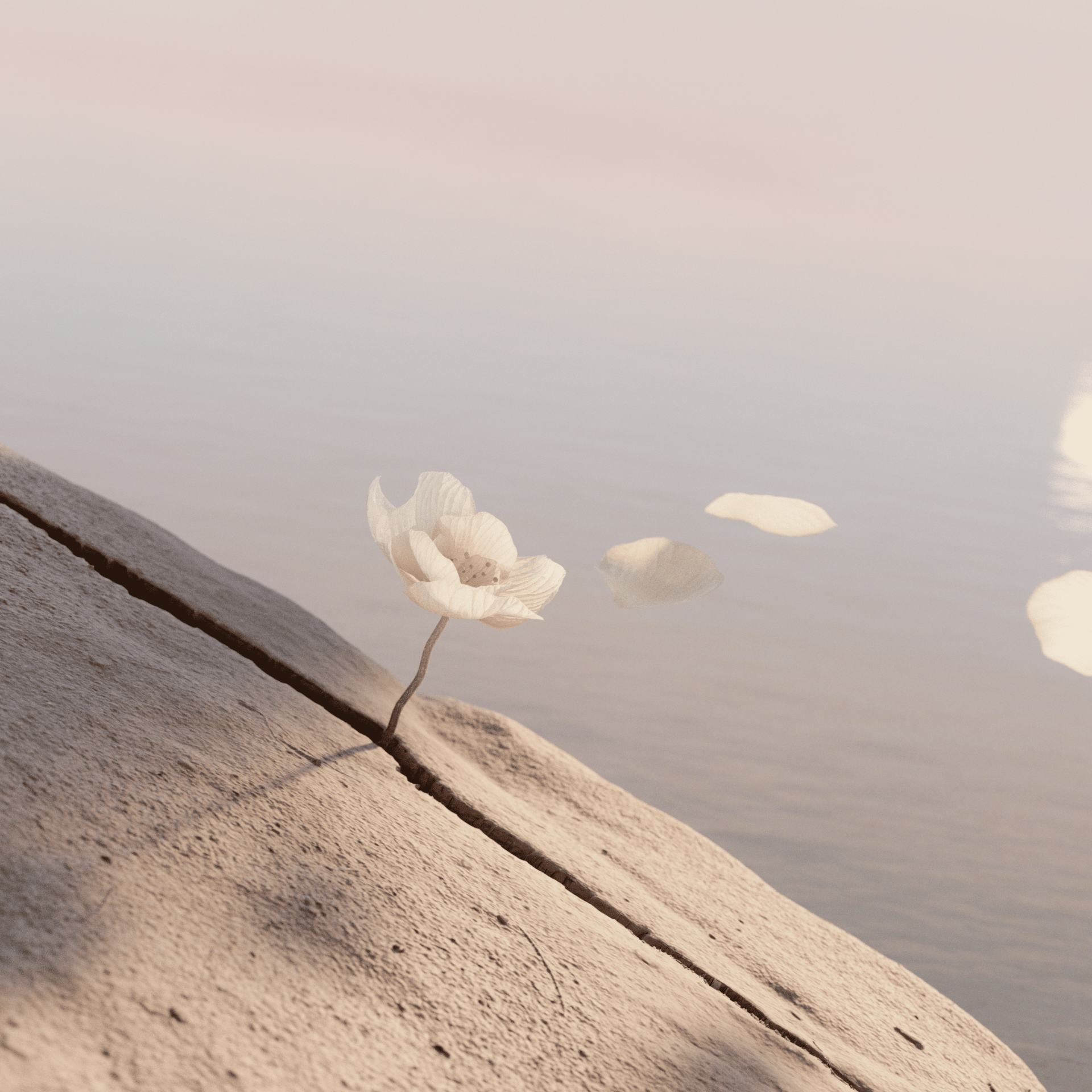 300_flower_fall_v07_cam_alt0128-1920x1920.png