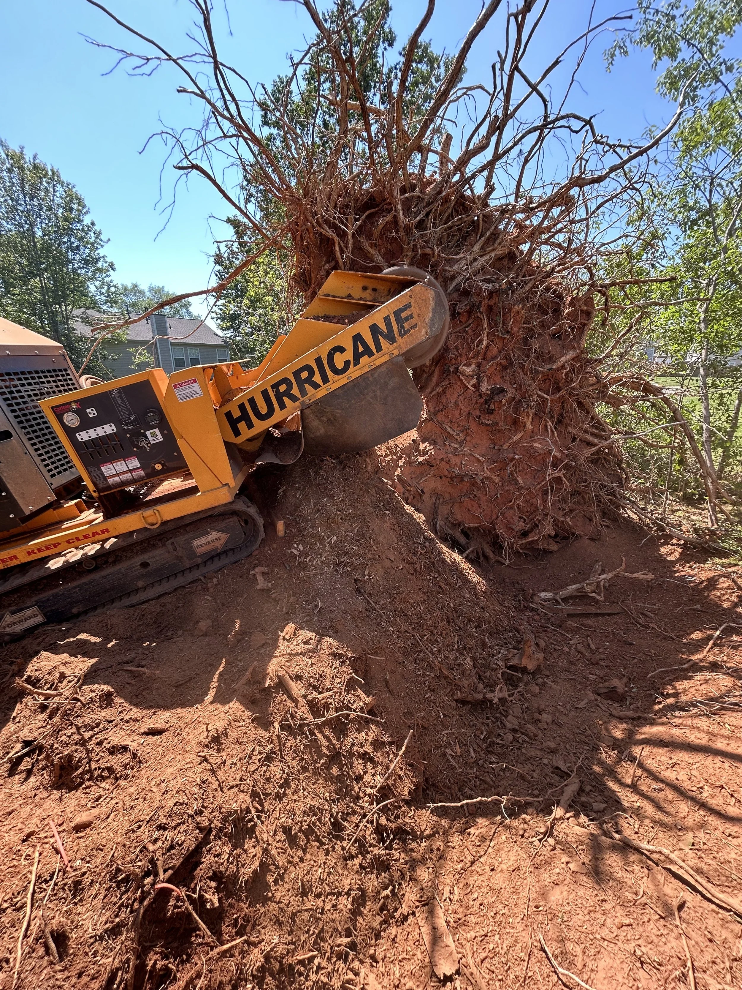 What Can You Expect From Stumpro?