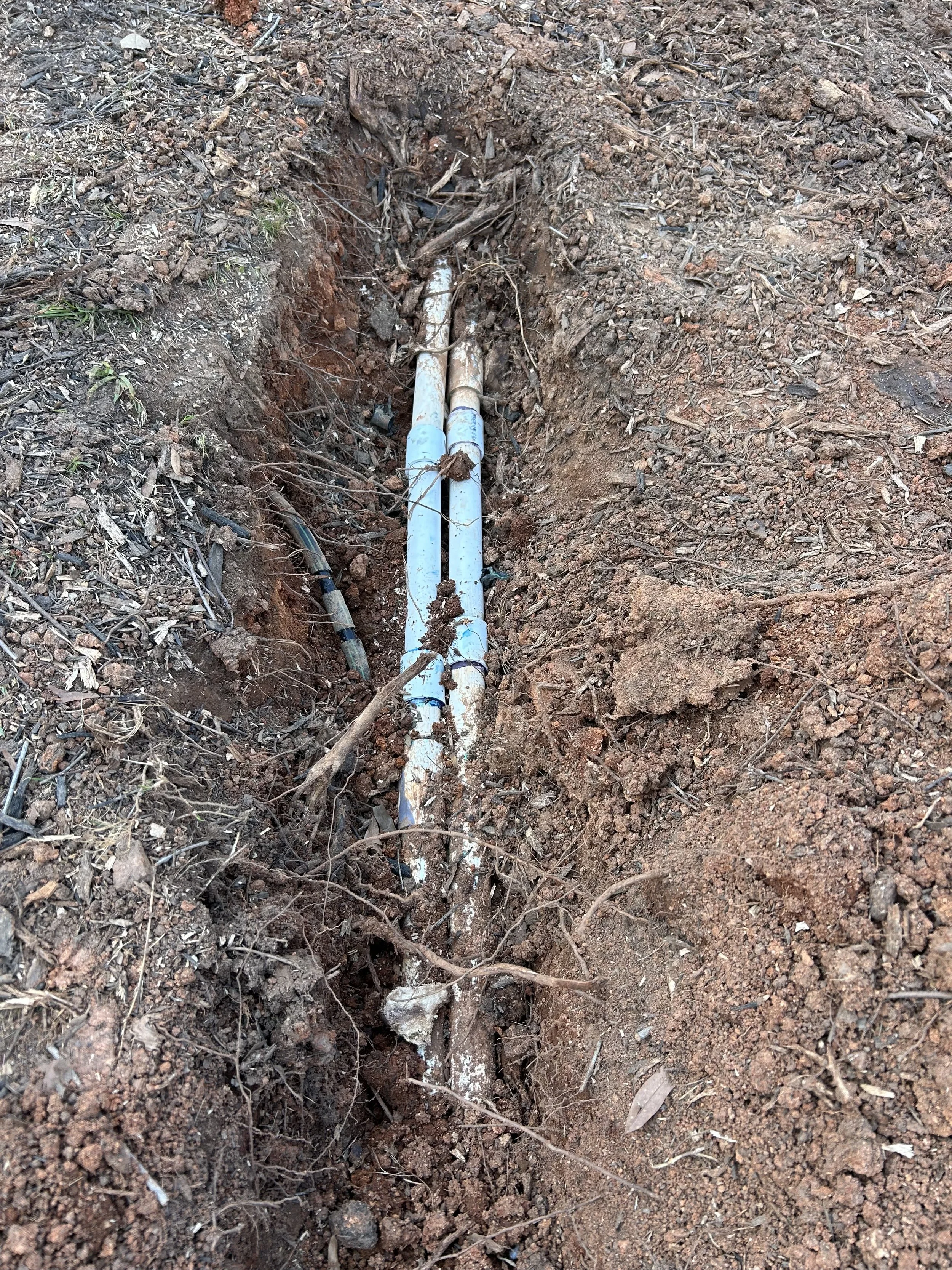 What Happens If a Stump Grinder Hits a Pipe or Utility Line?